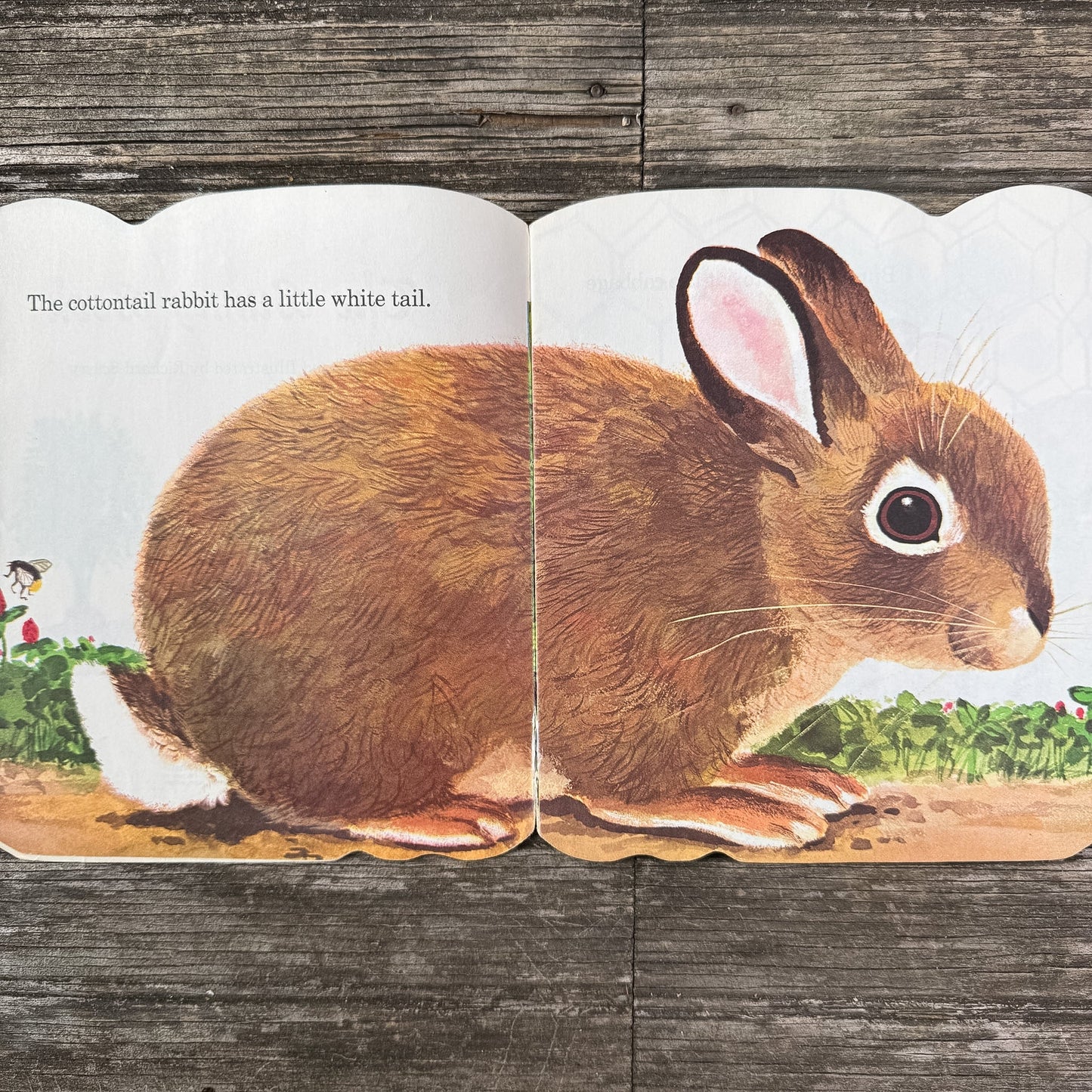 The Bunny Book, Richard Scarry, 1980 Golden Shape Book - Pretty Old Books