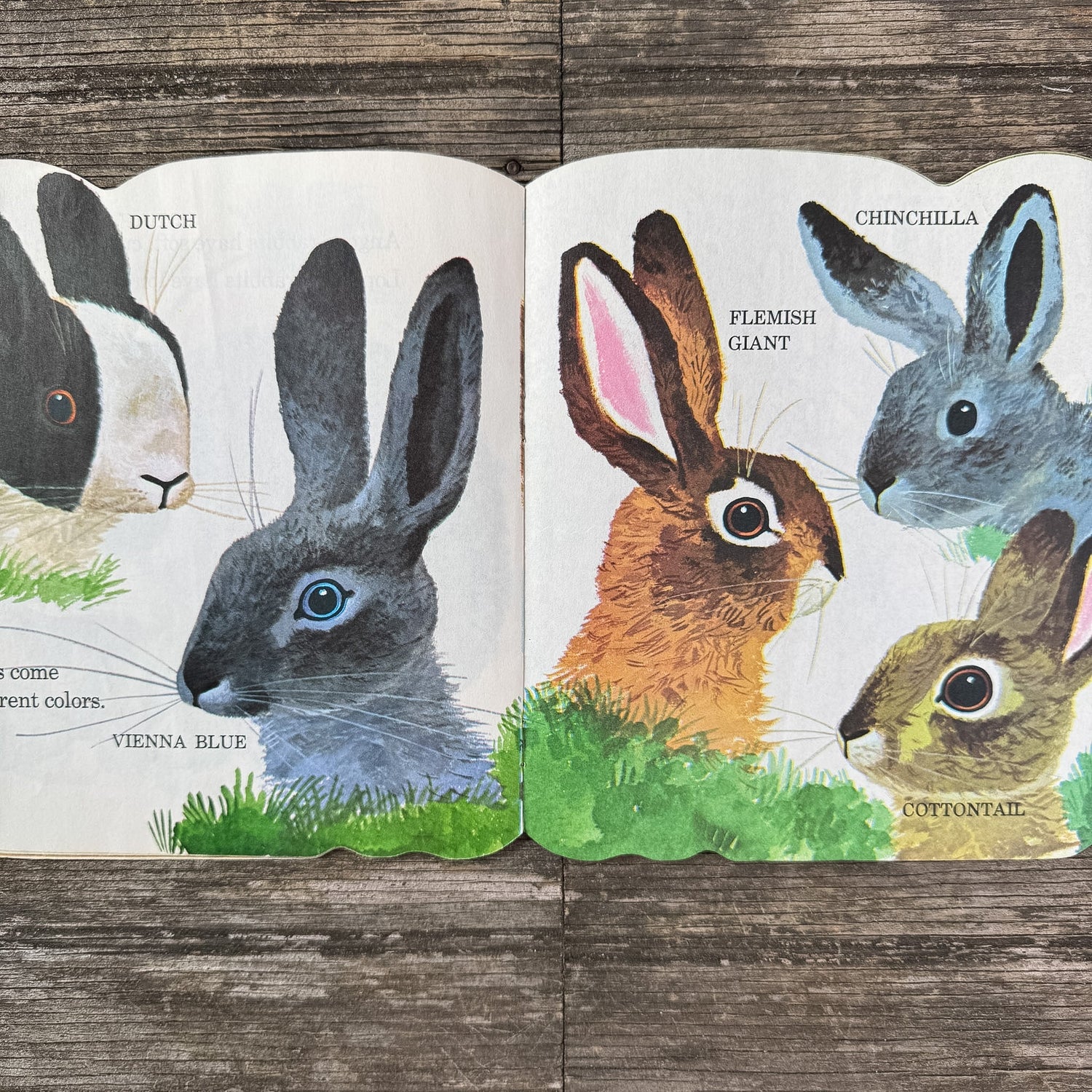 The Bunny Book, Richard Scarry, 1980 Golden Shape Book - Pretty Old Books