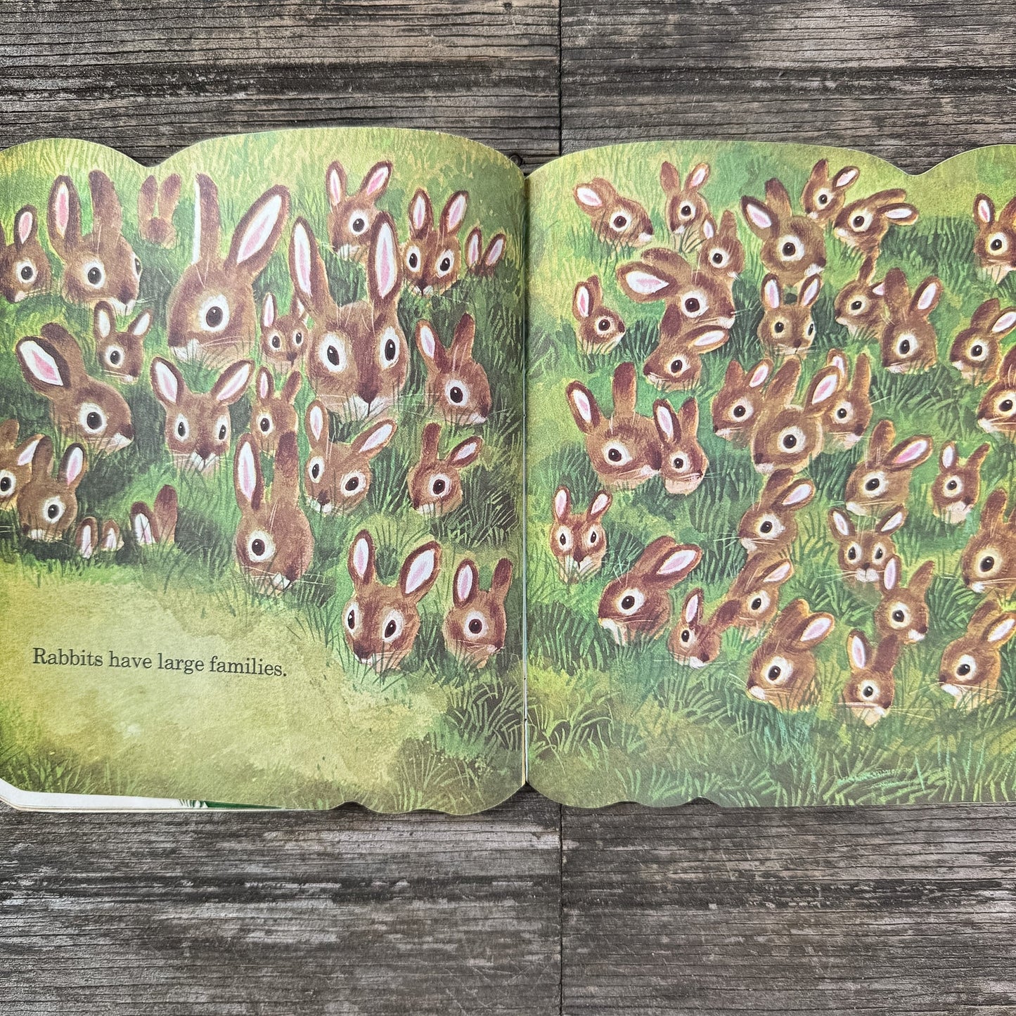 The Bunny Book, Richard Scarry, 1980 Golden Shape Book - Pretty Old Books