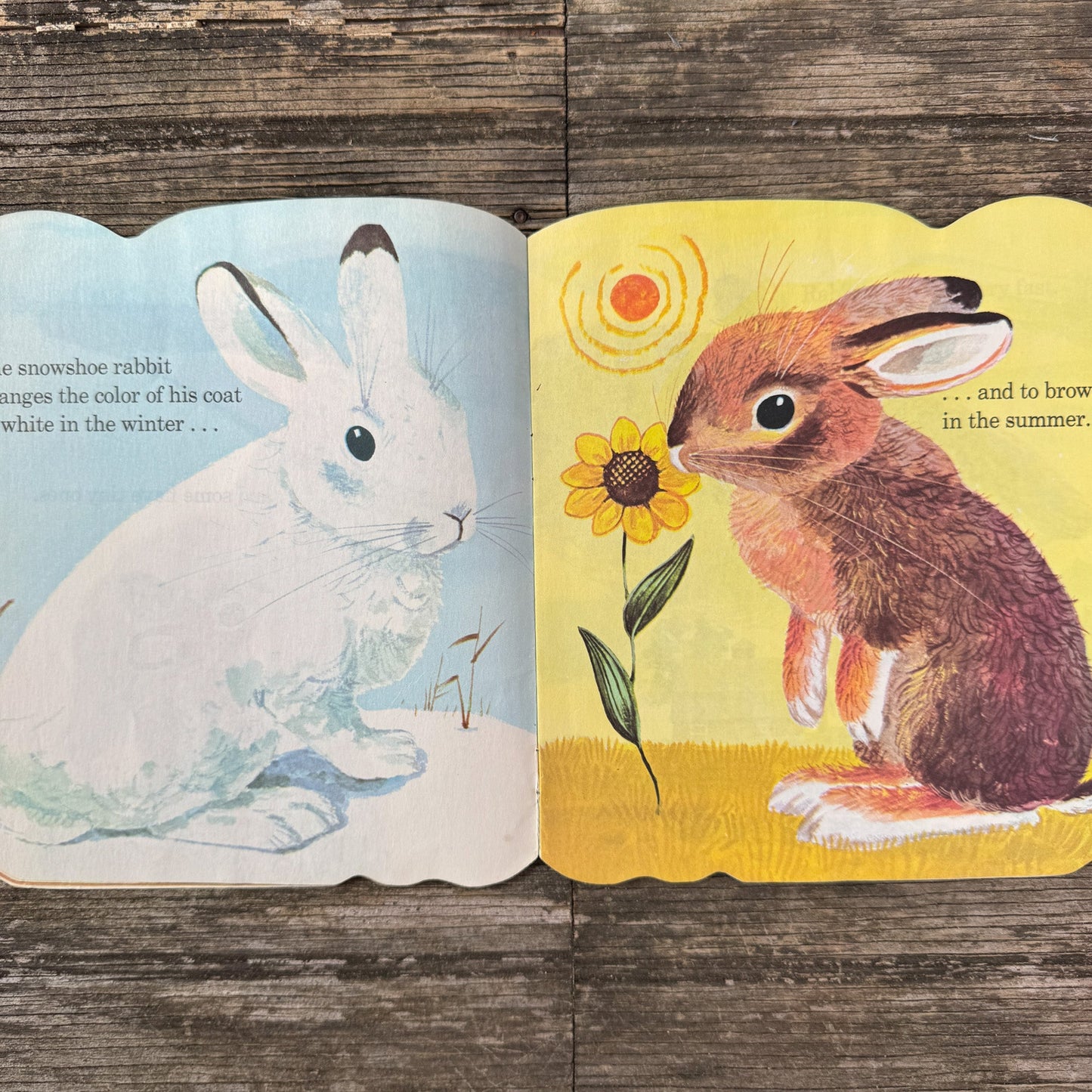 The Bunny Book, Richard Scarry, 1980 Golden Shape Book - Pretty Old Books