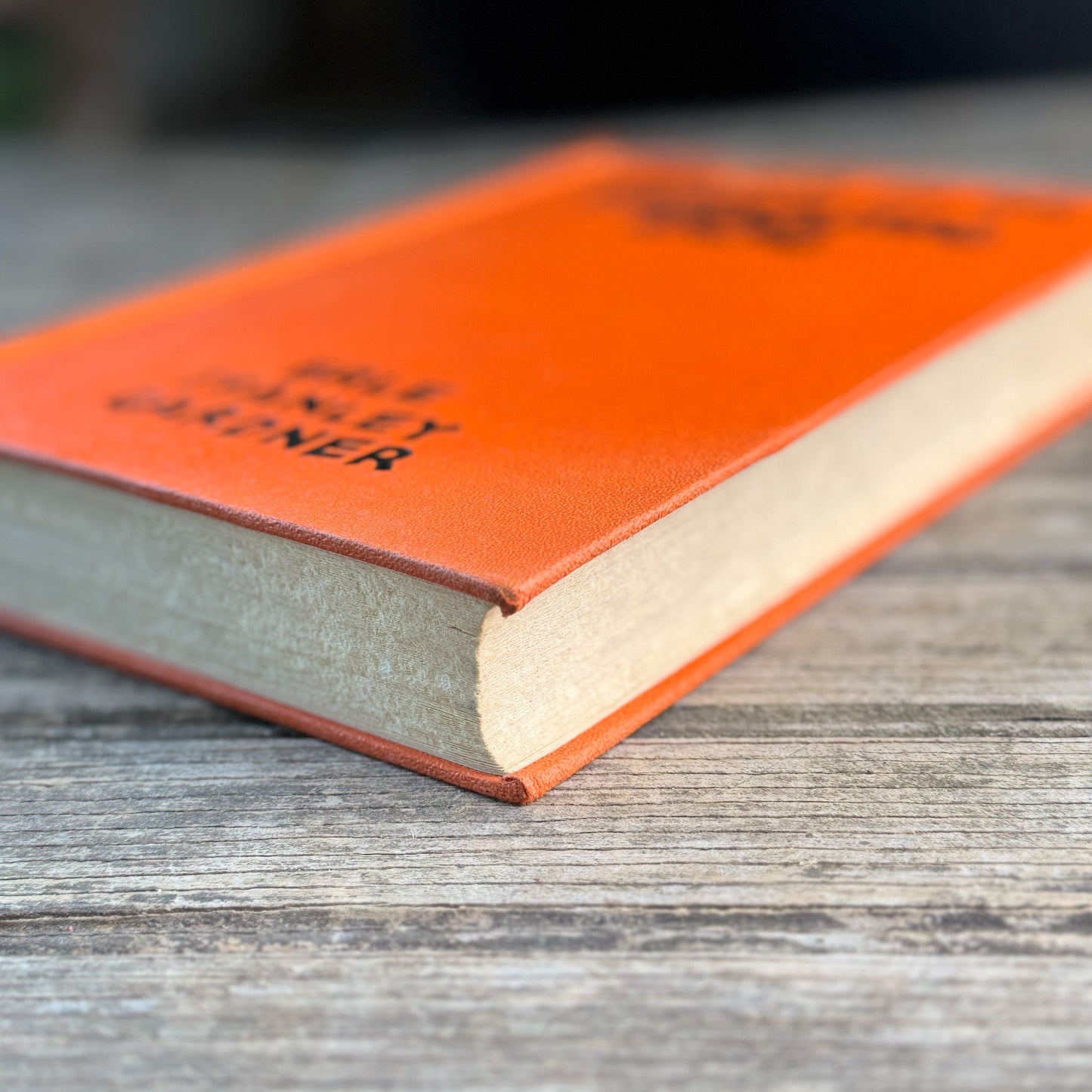 The Case of the Howling Dog, Erle Stanley Gardner, 1934 - Pretty Old Books