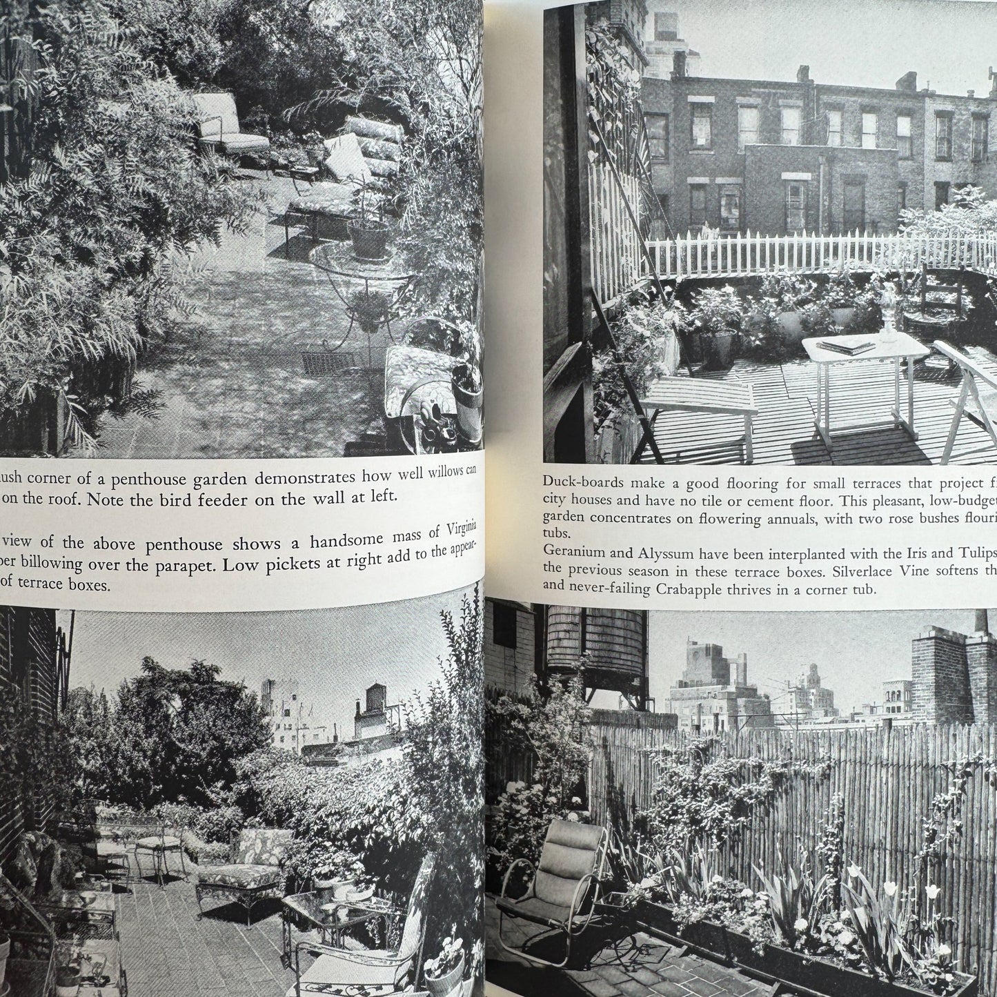 The City Gardener, 1964, Philip Truex, Illustrated 1st Ed Book Club - Pretty Old Books