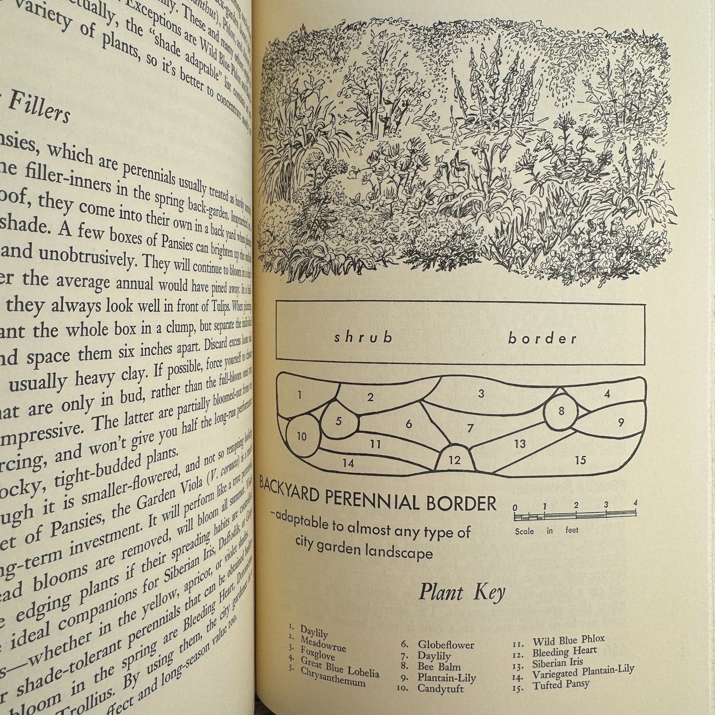 The City Gardener, 1964, Philip Truex, Illustrated 1st Ed Book Club - Pretty Old Books