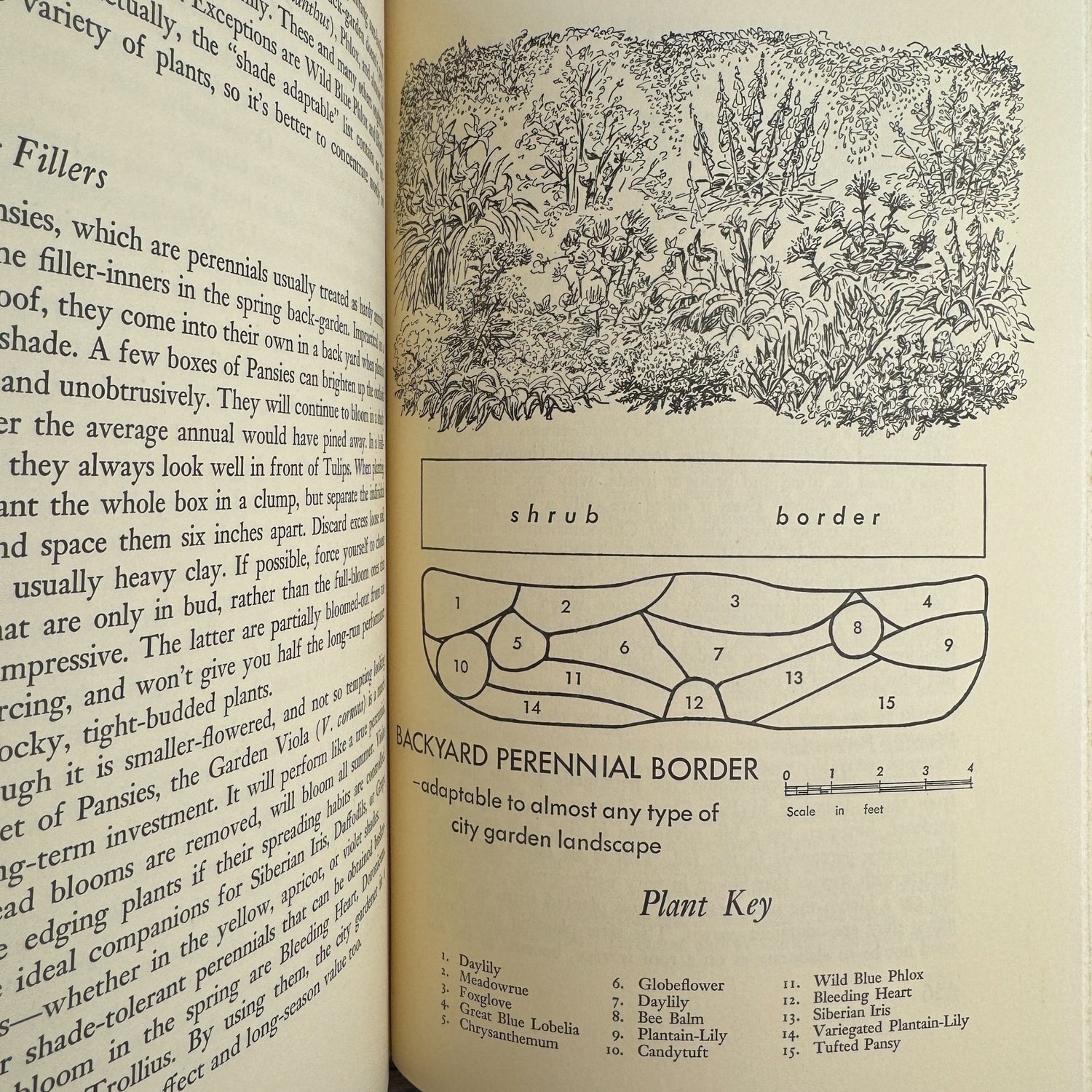 The City Gardener, 1964, Philip Truex, Illustrated 1st Ed Book Club - Pretty Old Books