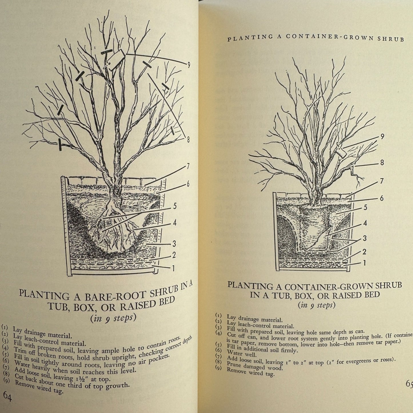 The City Gardener, 1964, Philip Truex, Illustrated 1st Ed Book Club - Pretty Old Books