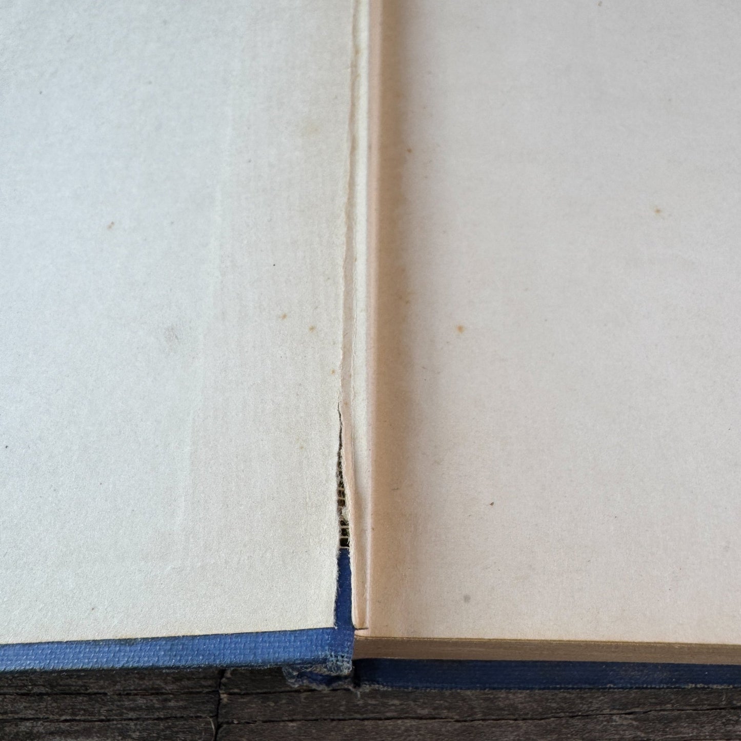 The Cokesbury Party Book, Arthur M. Depew, 1932 - Pretty Old Books