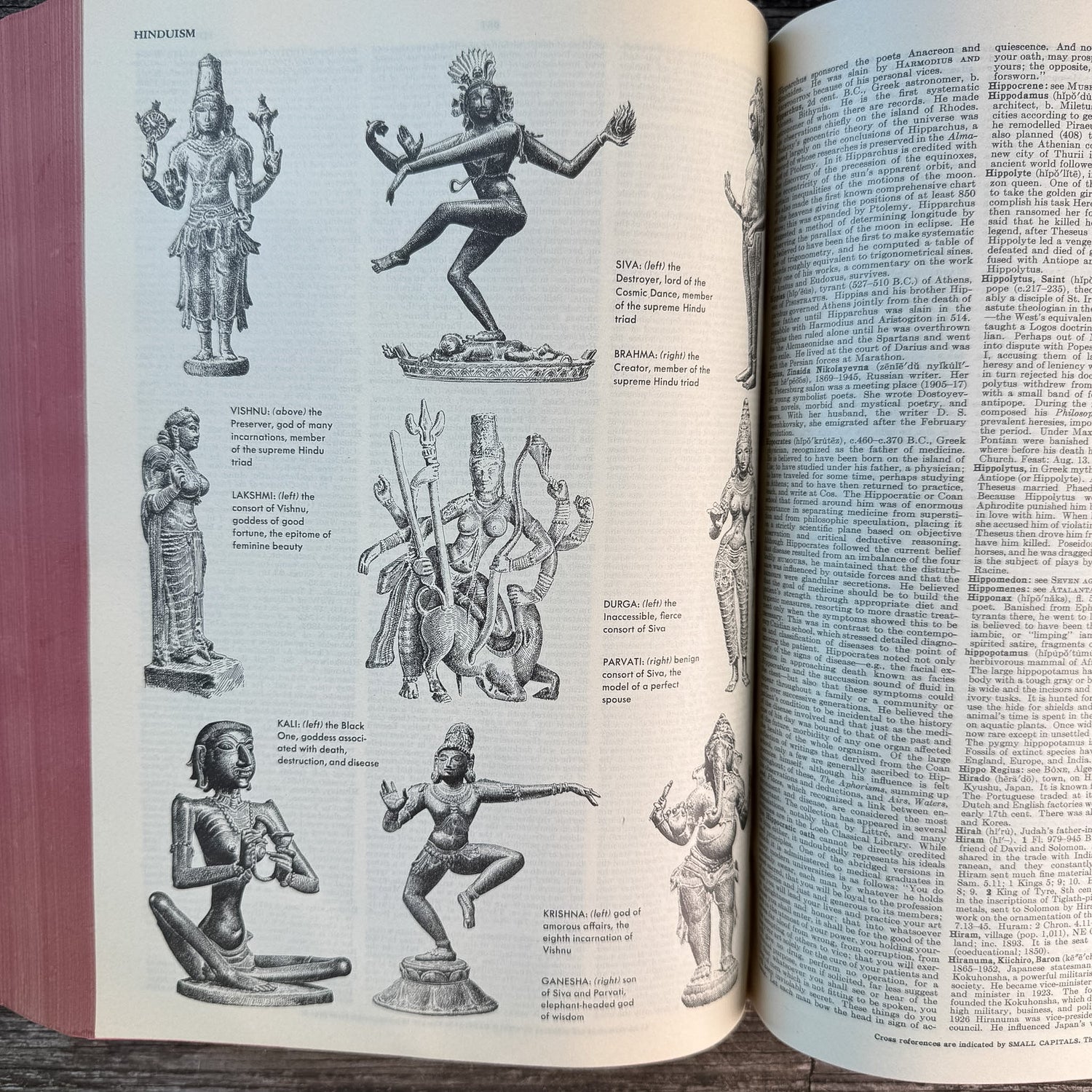 The Columbia Encyclopedia, Third Edition, William Bridgewater and Seymour Kurtz, 1963 - Pretty Old Books