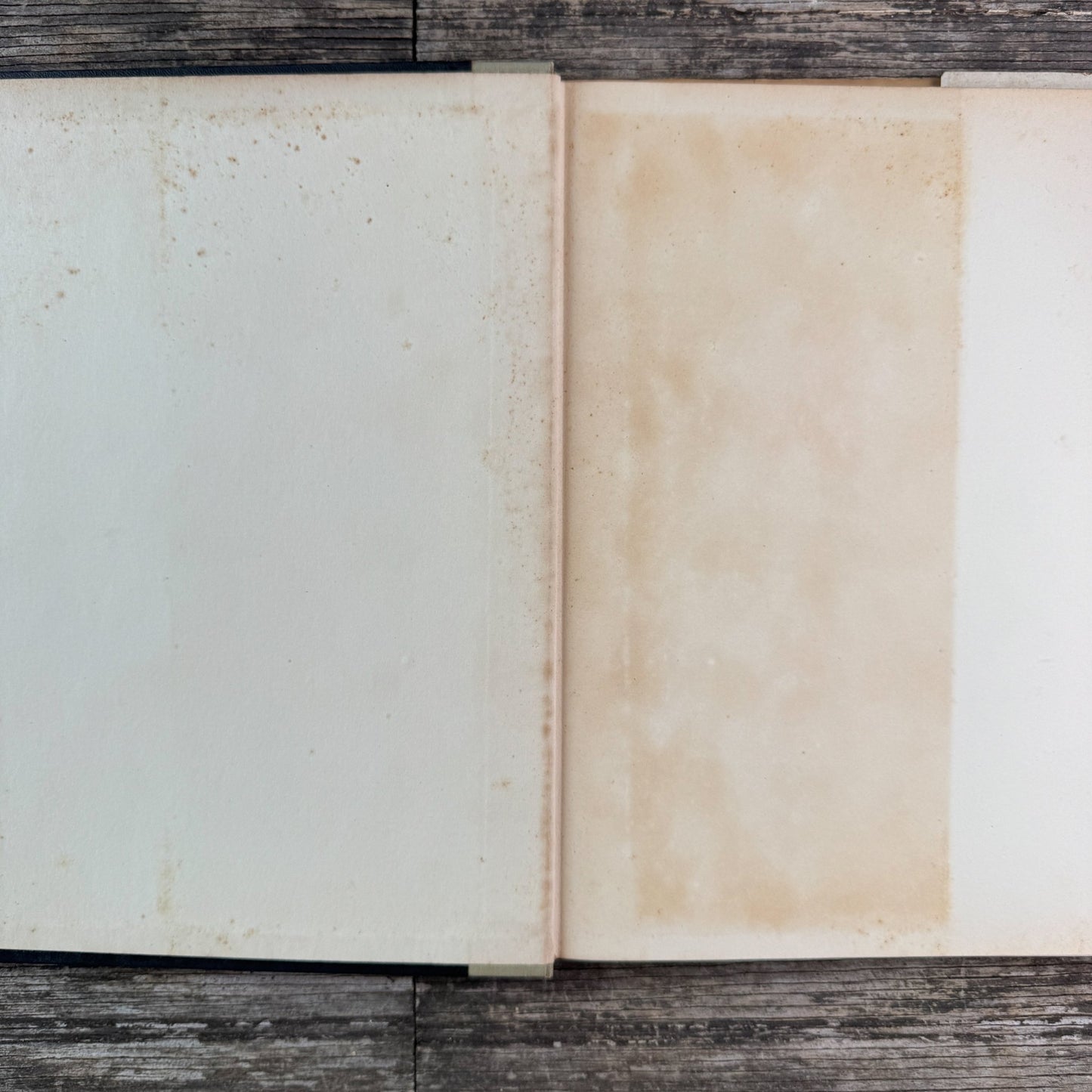 The Complete Book of Flowers and Plants for Interior Decoration, 1957 - Pretty Old Books