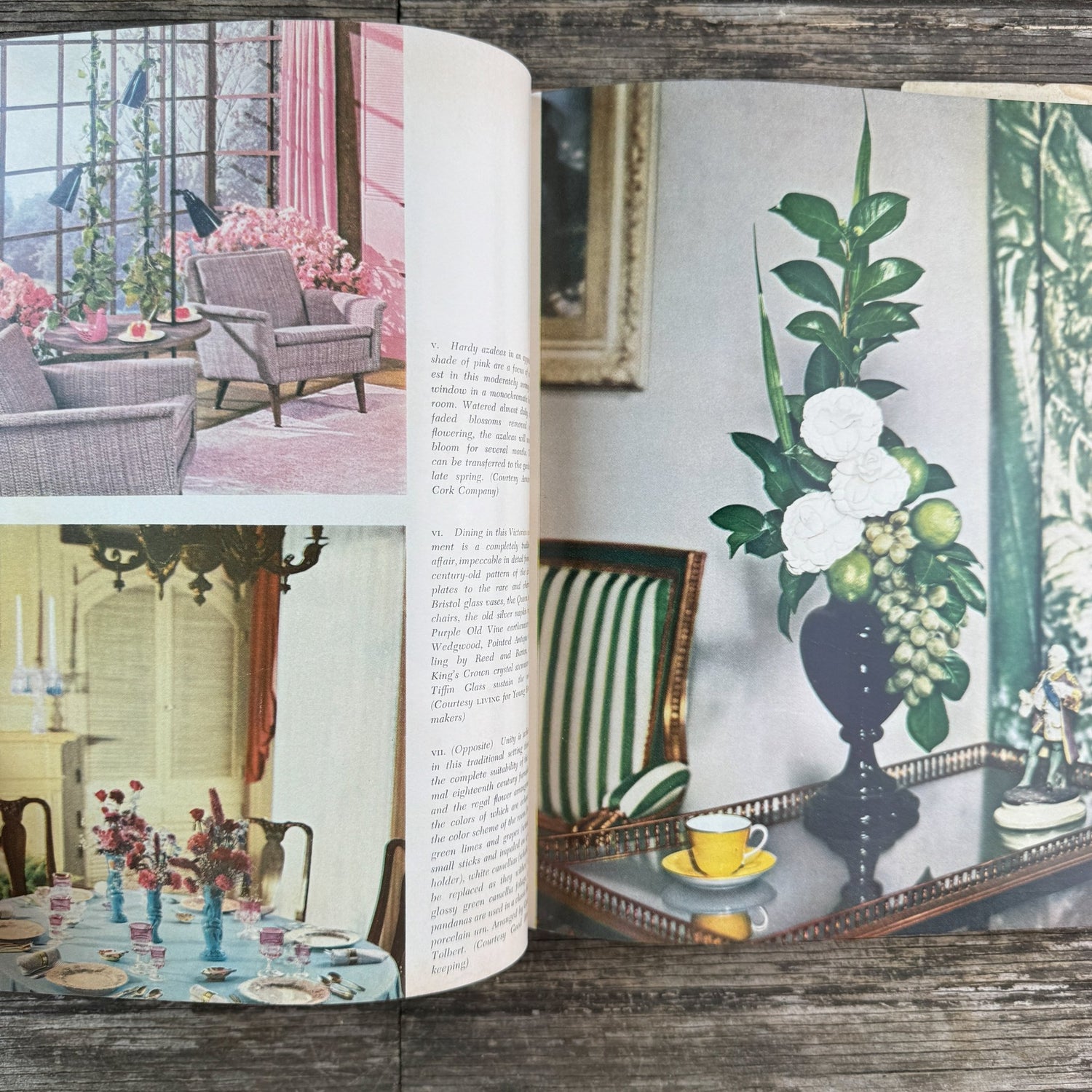 The Complete Book of Flowers and Plants for Interior Decoration, 1957 - Pretty Old Books