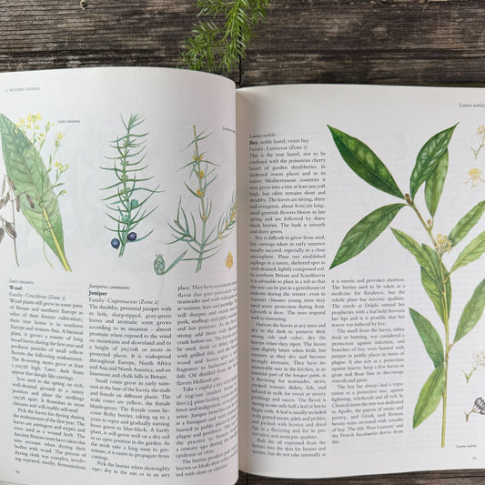 The Complete Book of Herbs and Spices by Sarah Garland, 1979 - Pretty Old Books