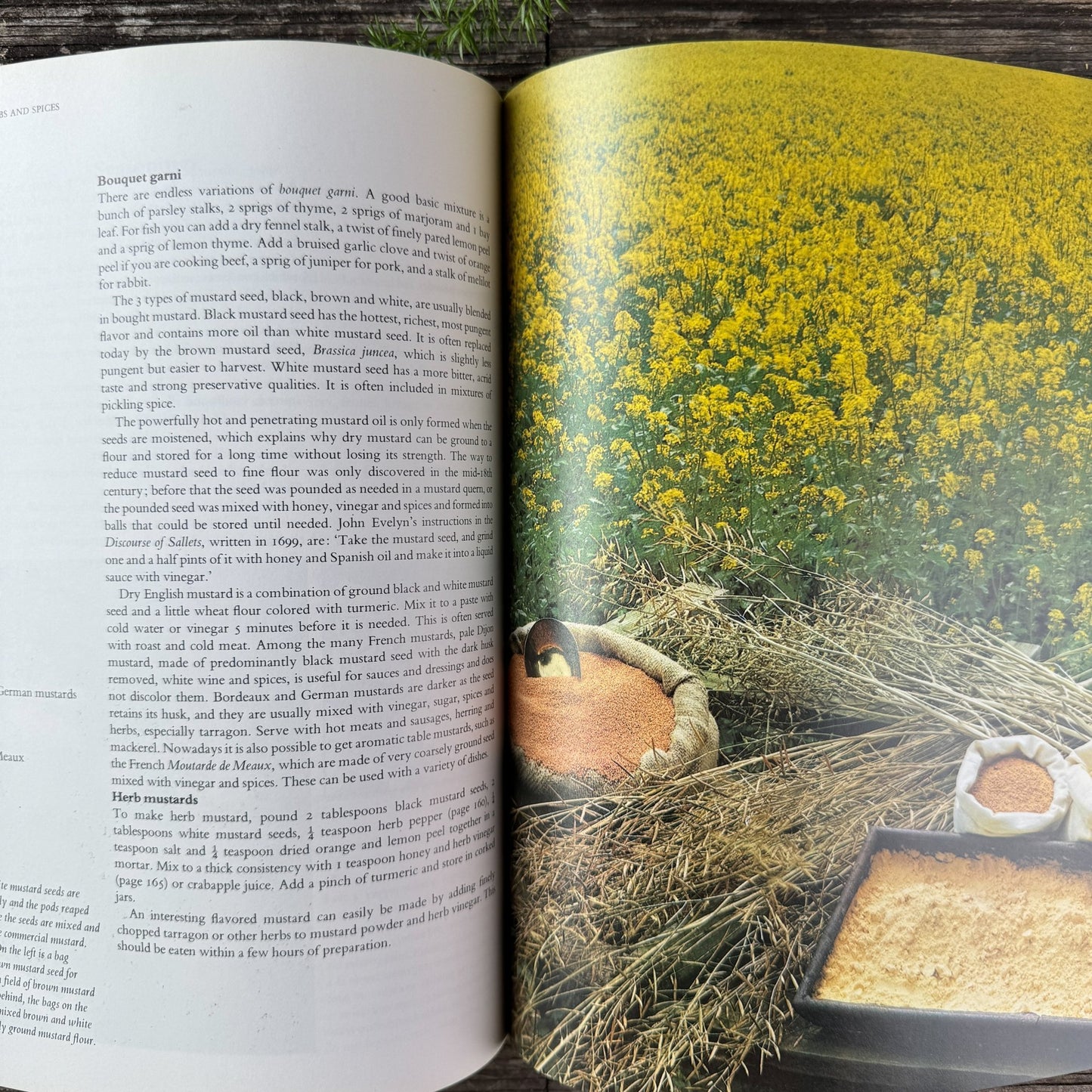 The Complete Book of Herbs and Spices by Sarah Garland, 1979 - Pretty Old Books