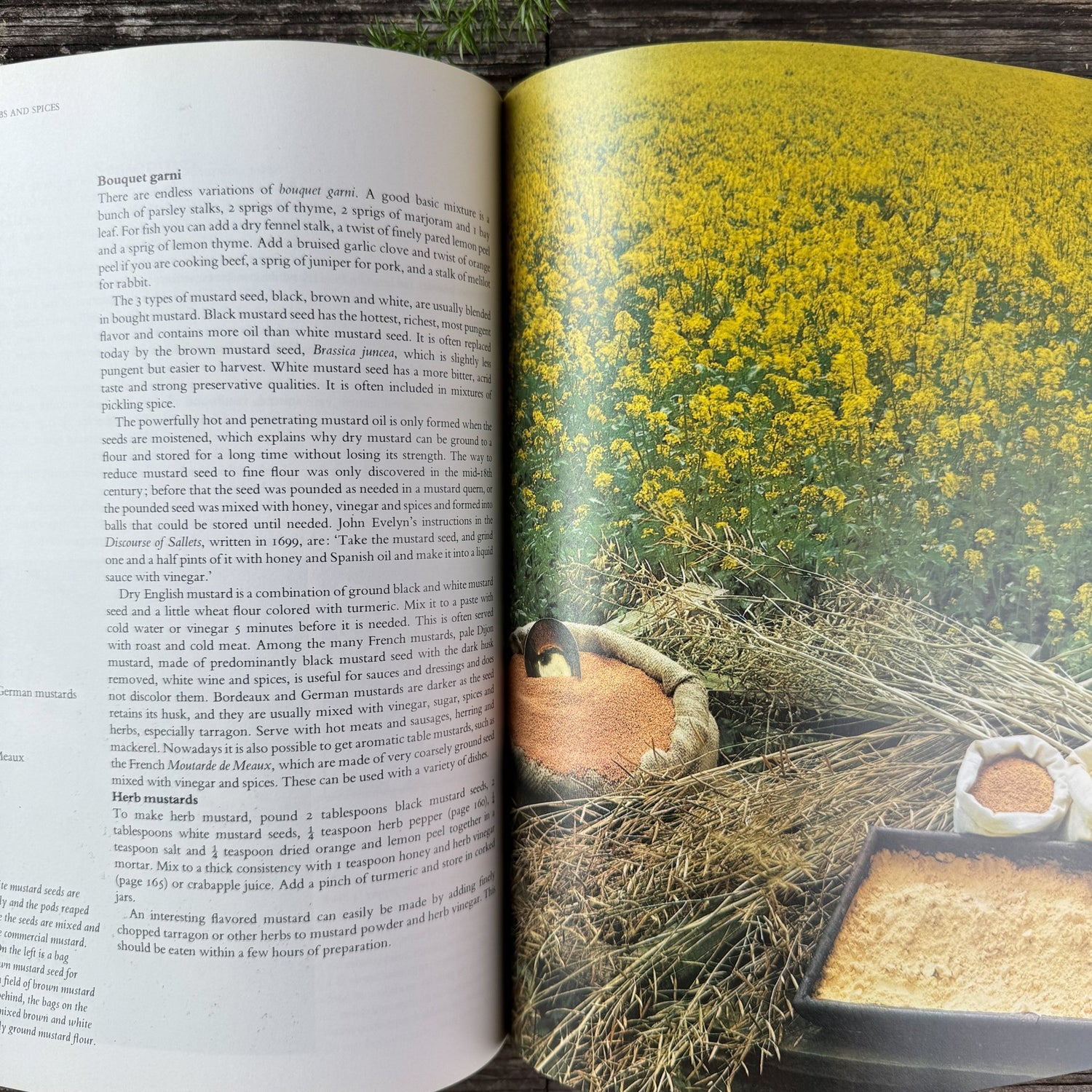 The Complete Book of Herbs and Spices by Sarah Garland, 1979 - Pretty Old Books