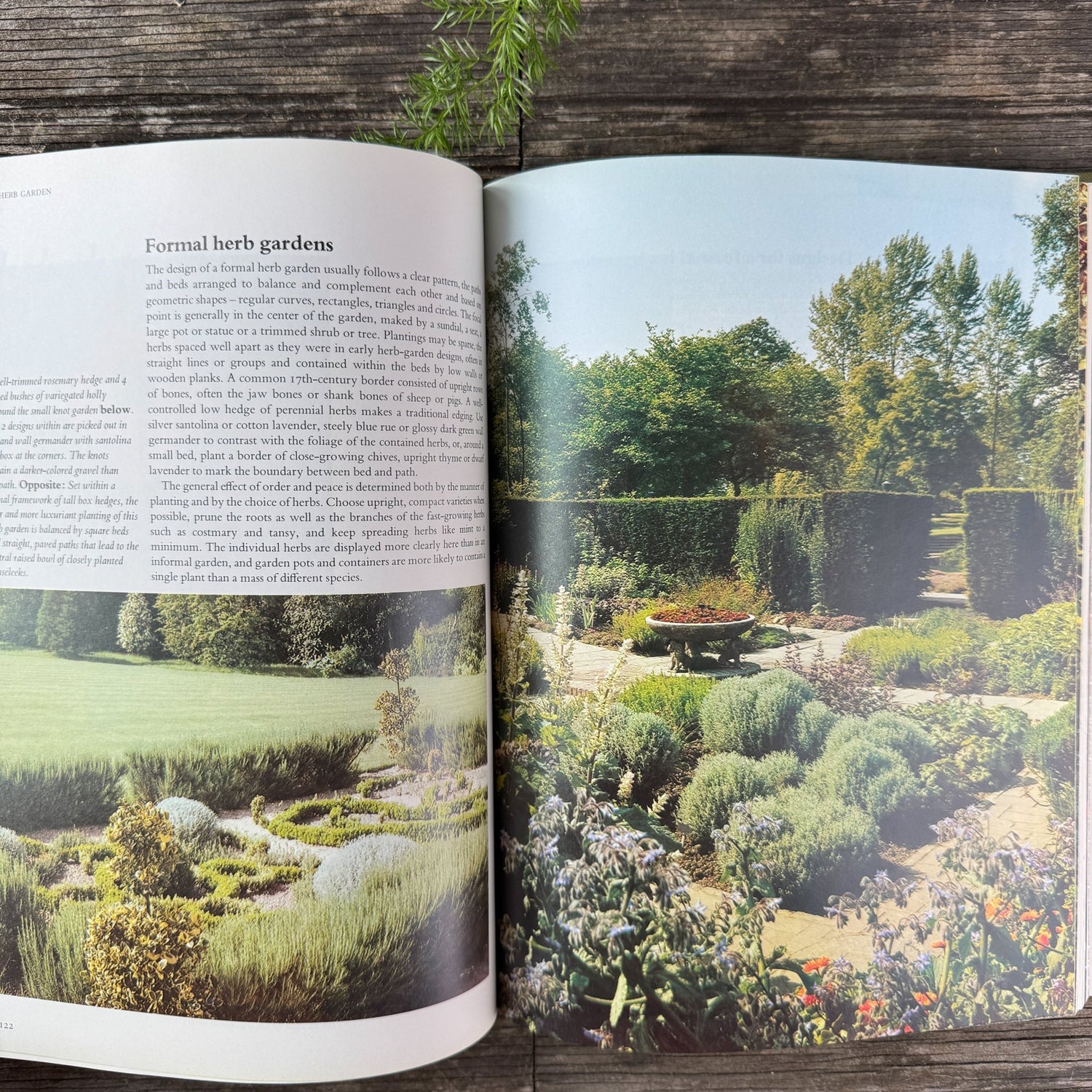 The Complete Book of Herbs and Spices by Sarah Garland, 1979 - Pretty Old Books