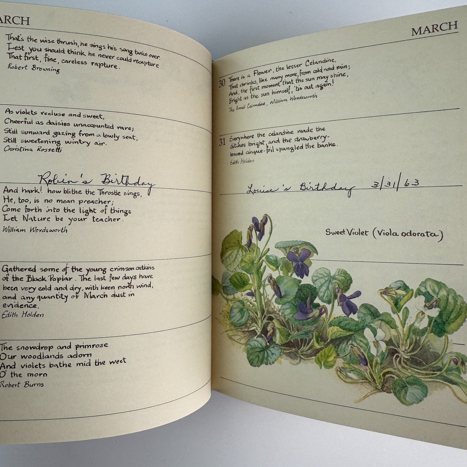 The Country Diary of an Edwardian Lady Birthday Book, Edith Holden, 1977 - Pretty Old Books