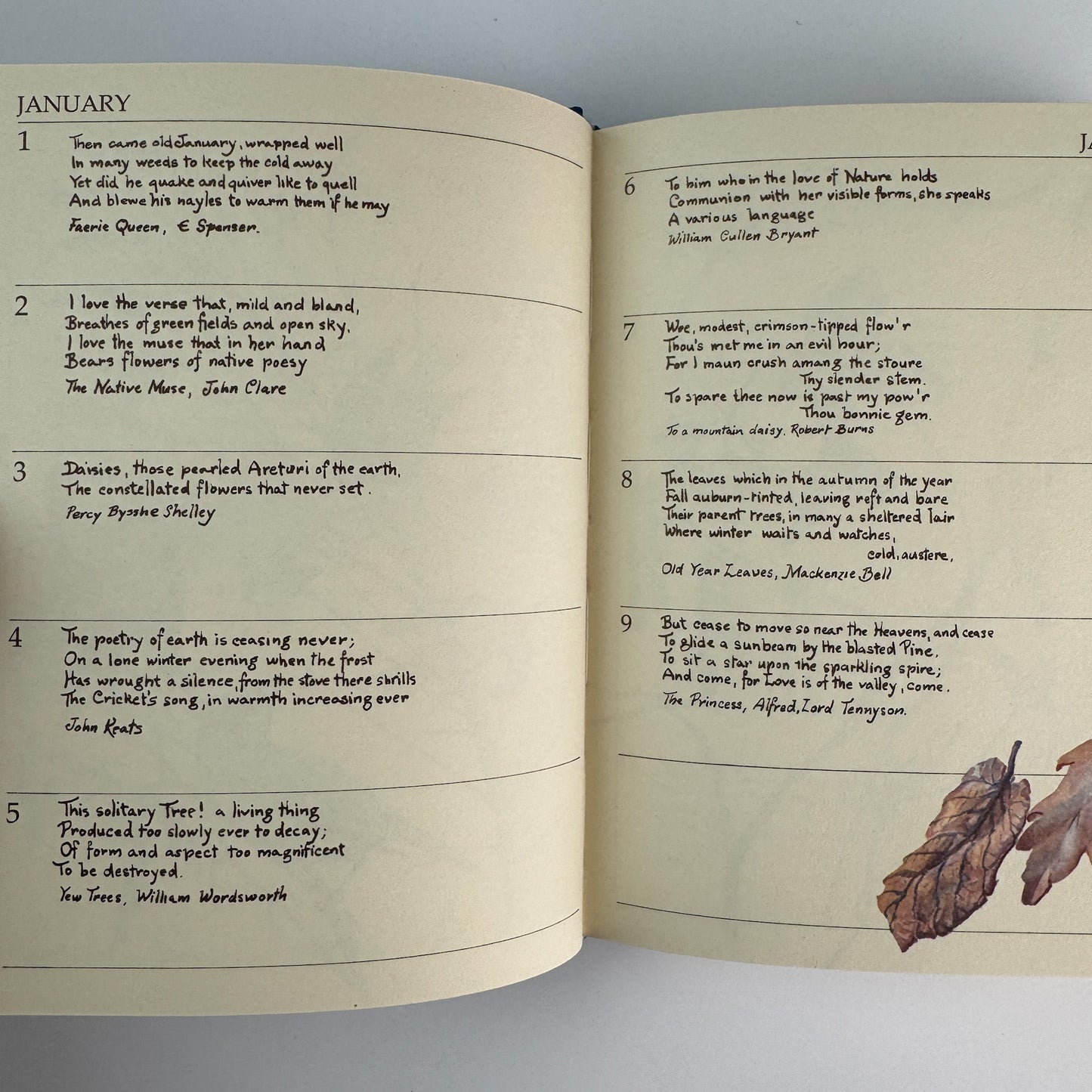 The Country Diary of an Edwardian Lady Birthday Book, Edith Holden, 1977 - Pretty Old Books