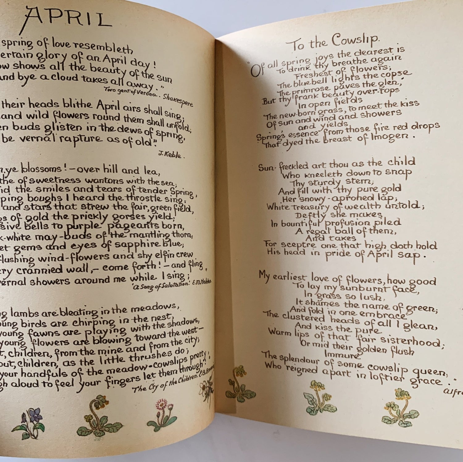 The Country Diary of an Edwardian Lady, Edith Holden, 1977, Botanical Book - Pretty Old Books