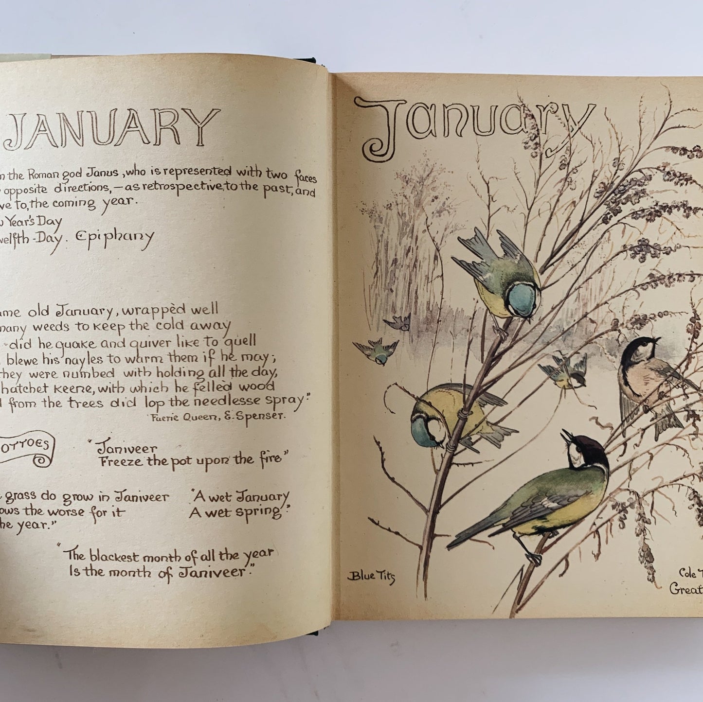 The Country Diary of an Edwardian Lady, Edith Holden, 1977, Botanical Book - Pretty Old Books