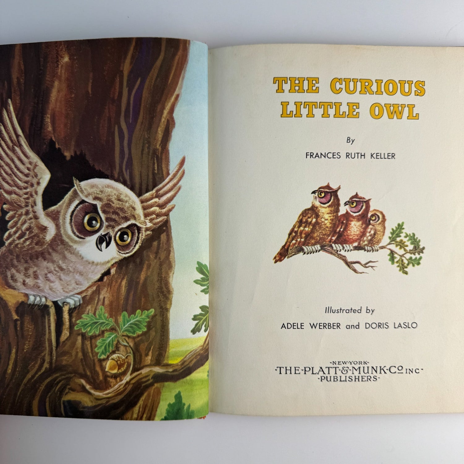 The Curious Little Owl, Francis Ruth Keller, Platt & Munk, 1957 - Pretty Old Books
