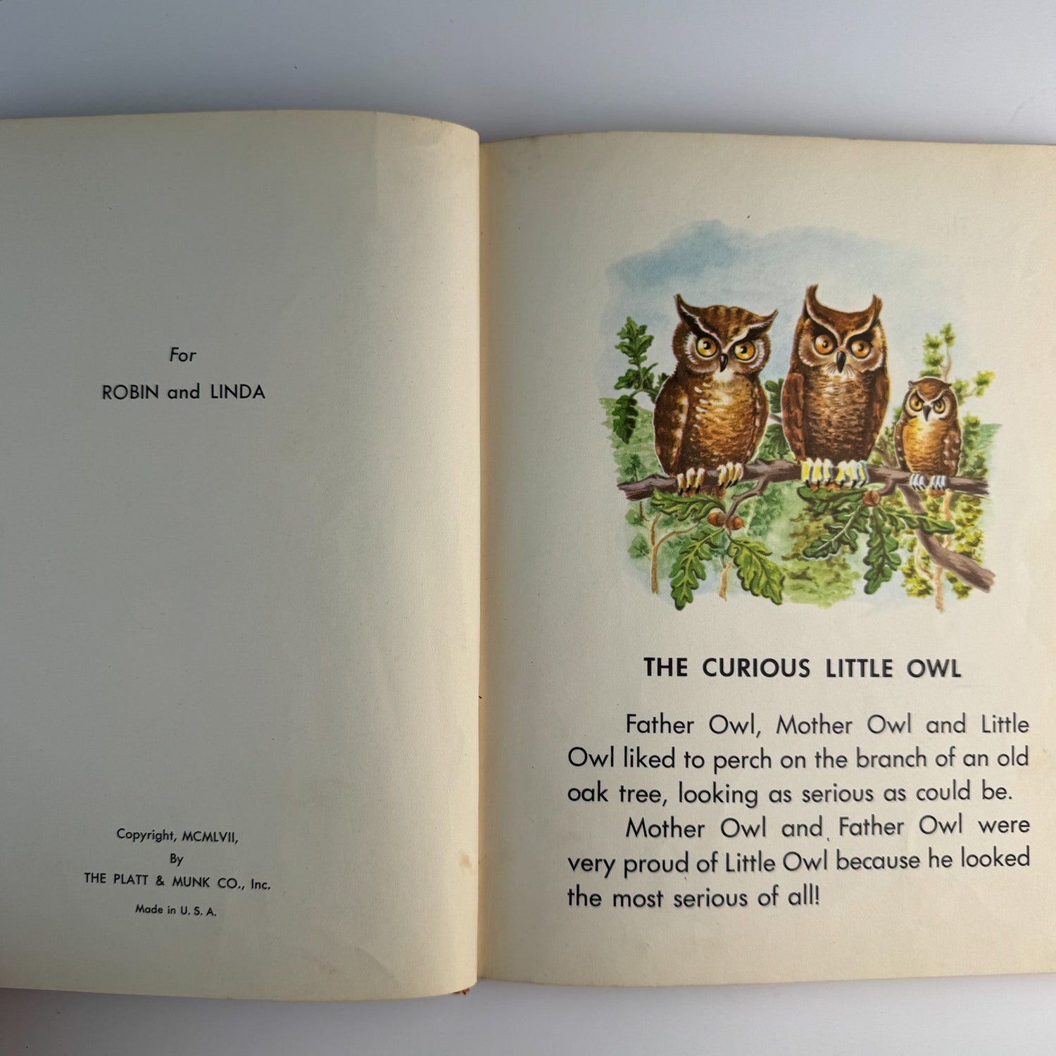 The Curious Little Owl, Francis Ruth Keller, Platt & Munk, 1957 - Pretty Old Books