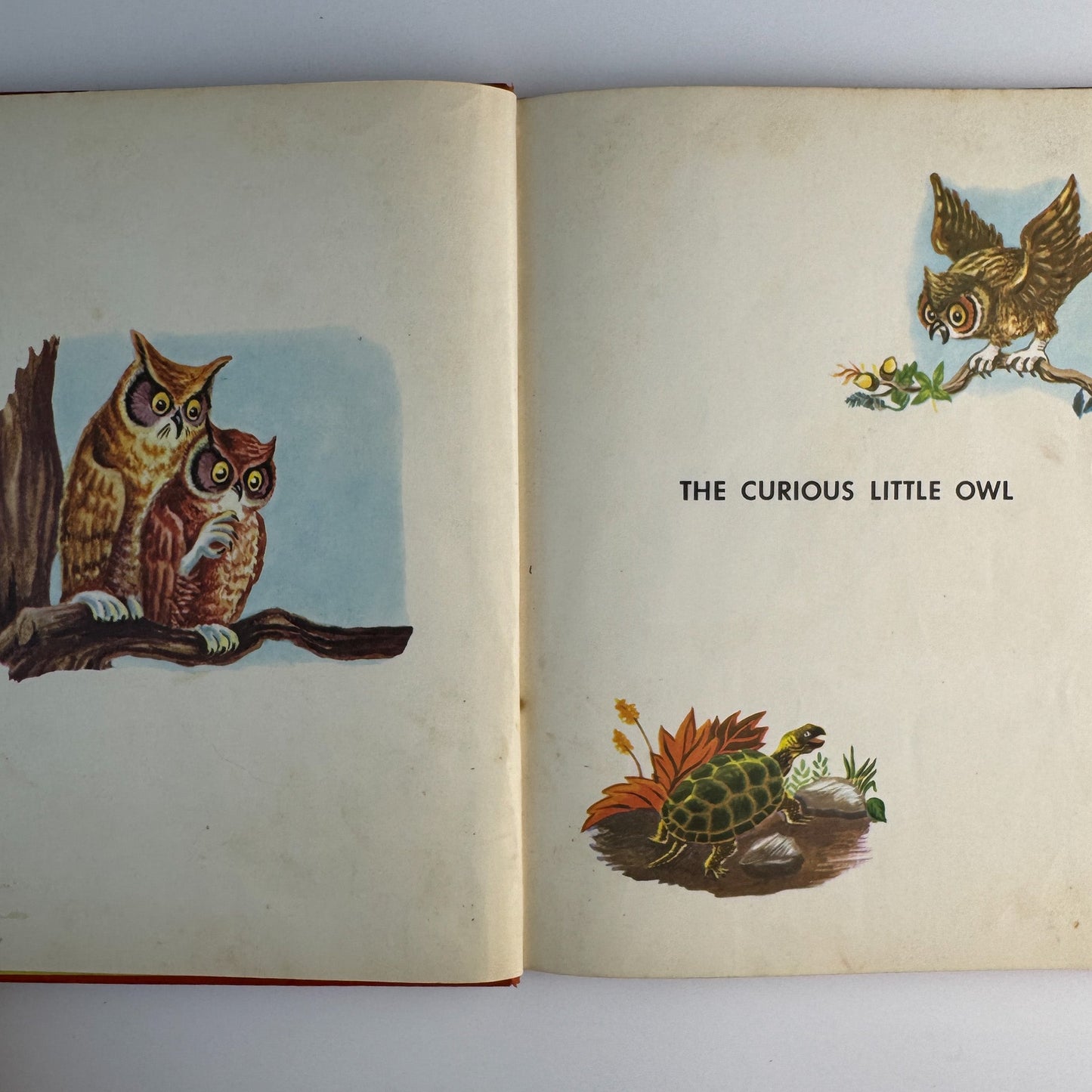 The Curious Little Owl, Francis Ruth Keller, Platt & Munk, 1957 - Pretty Old Books