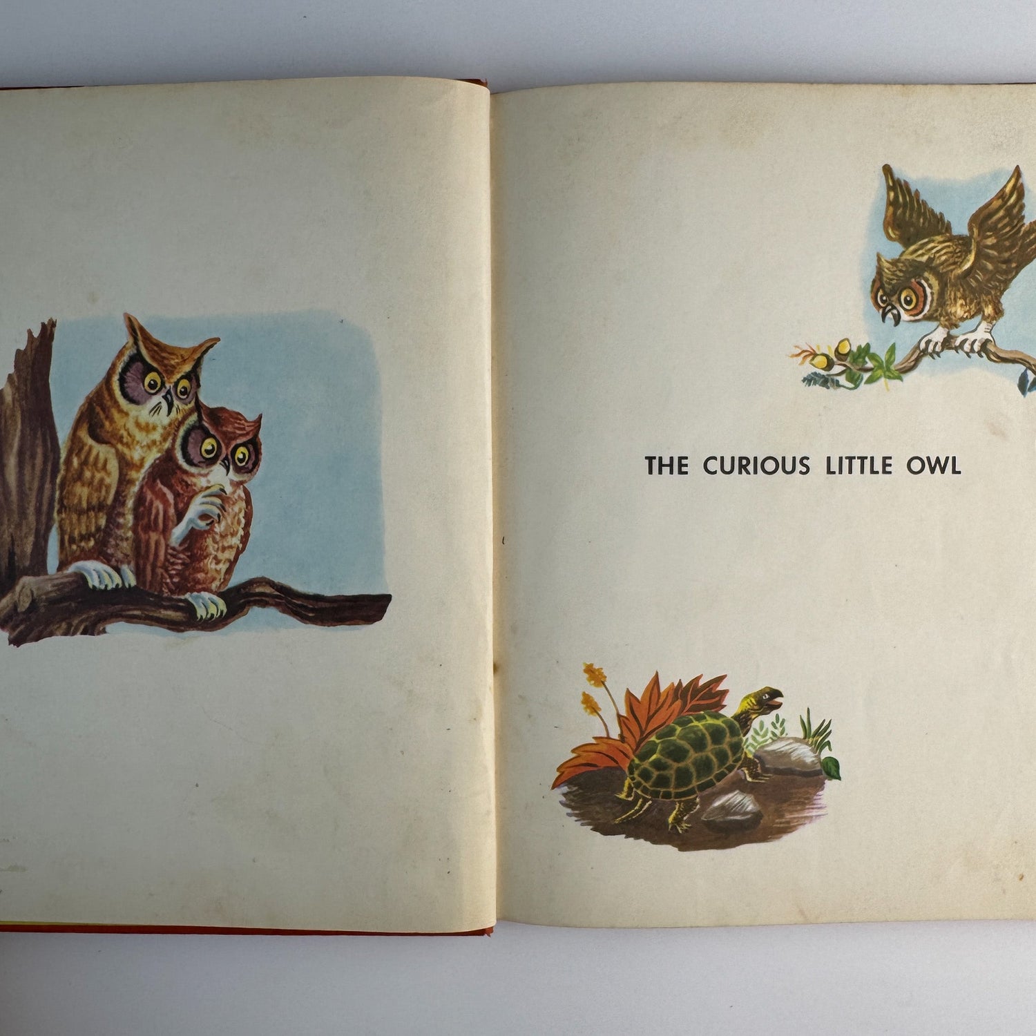 The Curious Little Owl, Francis Ruth Keller, Platt & Munk, 1957 - Pretty Old Books