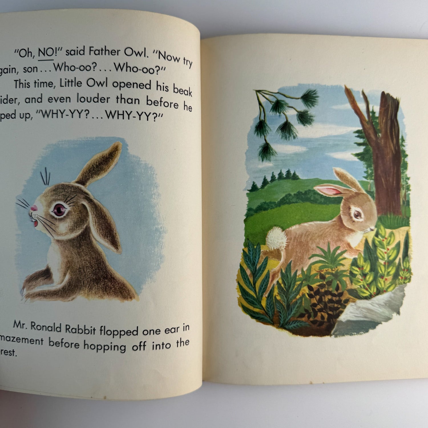 The Curious Little Owl, Francis Ruth Keller, Platt & Munk, 1957 - Pretty Old Books