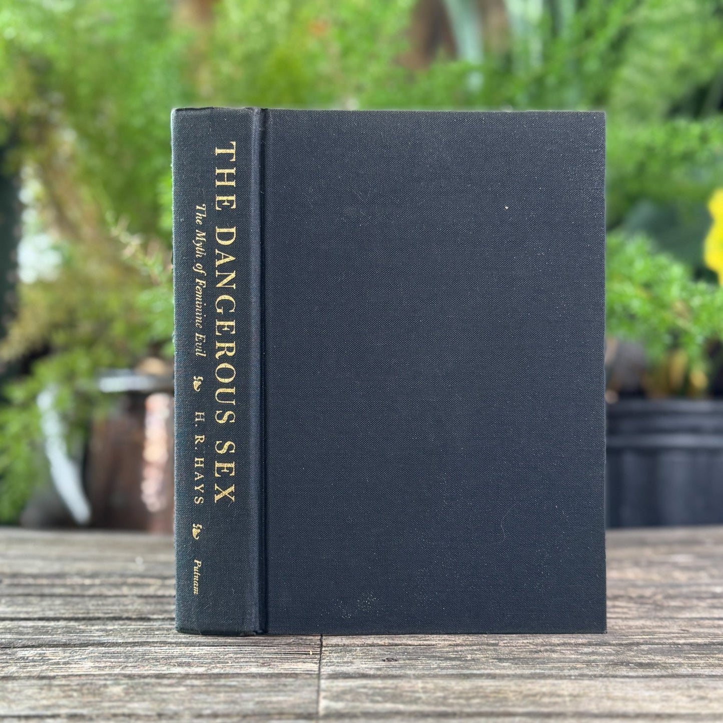 The Dangerous Sex: The Myth of Feminine Evil – H.R. Hays – 1964 - Pretty Old Books