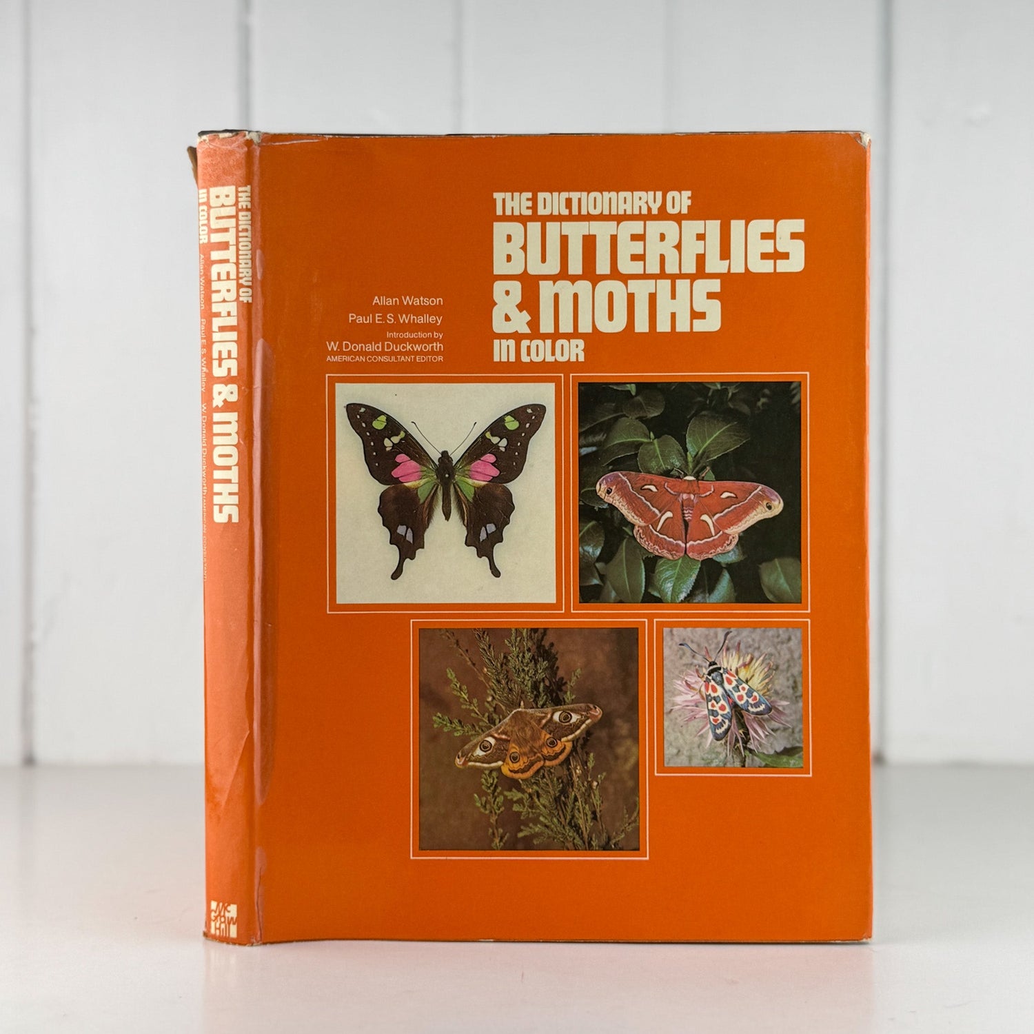 The Dictionary of Butterflies and Moths in Color, 1975 Oversized Illustrated - Pretty Old Books