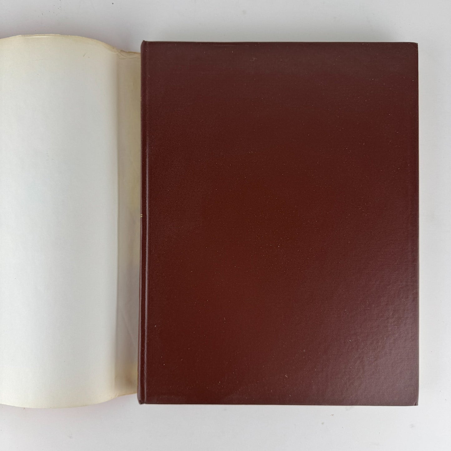 The Dictionary of Butterflies and Moths in Color, 1975 Oversized Illustrated - Pretty Old Books