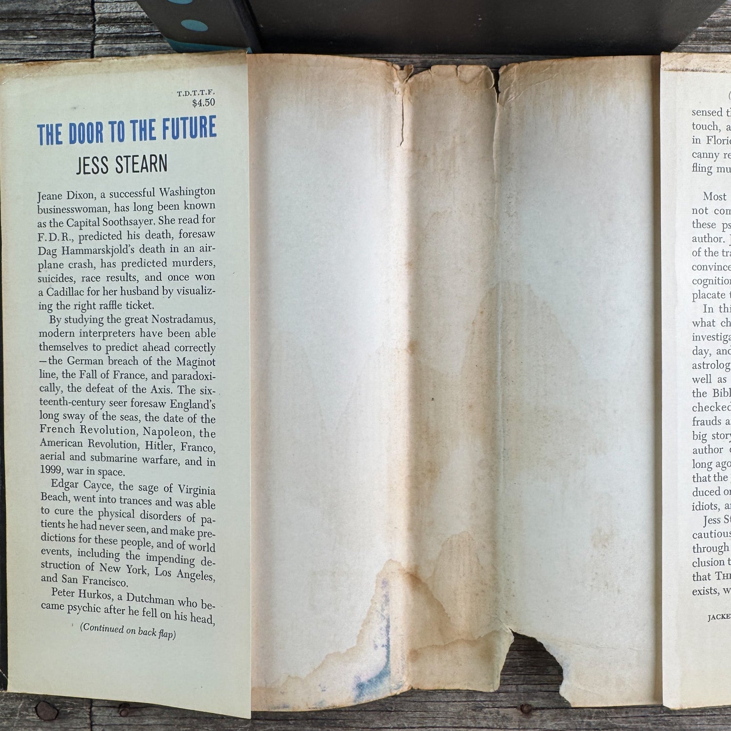 The Door to the Future, Jess Stearn, 1963 - Pretty Old Books