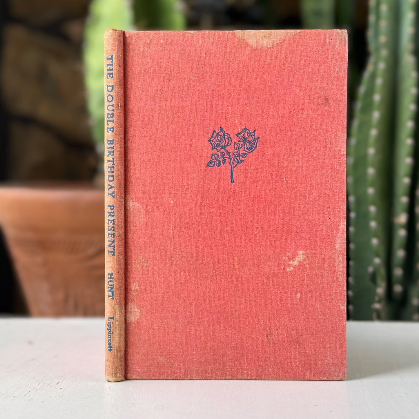 The Double Birthday Present, Mabel Leigh Hunt, 1947, First Edition - Pretty Old Books