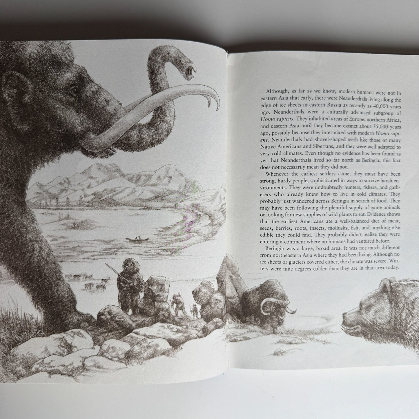 The Earliest Americans, Helen Roney Sattler, Illustrated History, 1993 Hardcover - Pretty Old Books