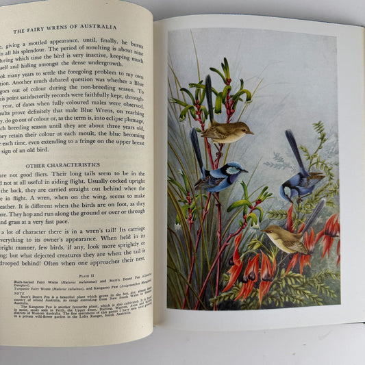 The Fairy Wrens of Australia: Blue Birds of Happiness, Neville W. Cayley, 1949 - Pretty Old Books
