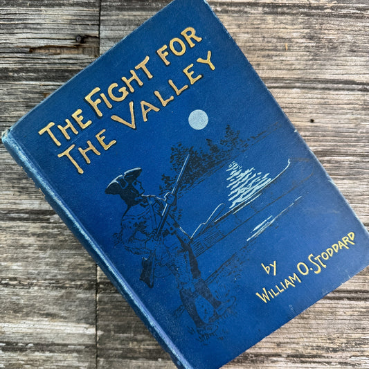 The Fight for the Valley, William O. Stoddard, 1904, Juvenile Historical Fiction - Pretty Old Books