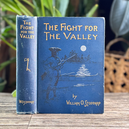 The Fight for the Valley, William O. Stoddard, 1904, Juvenile Historical Fiction - Pretty Old Books