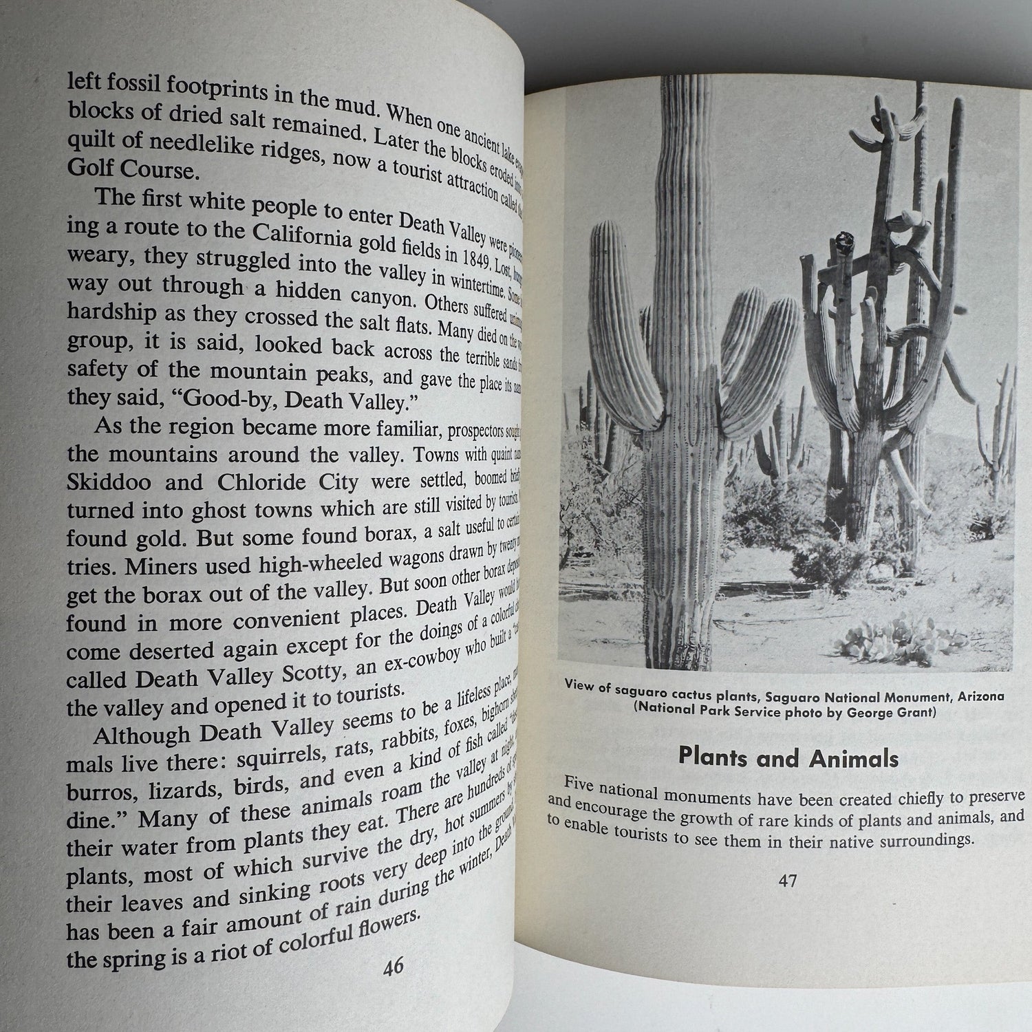 The First Book of National Monuments, 1959, Juvenile Non Fiction - Pretty Old Books