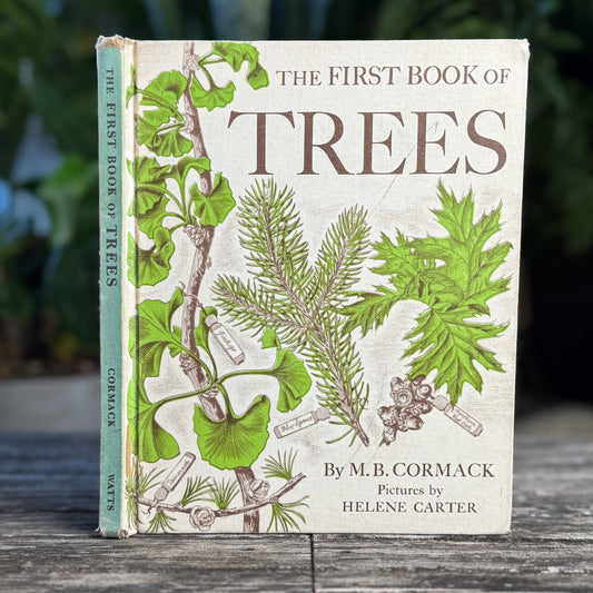 The First Book of Trees, 1951, Juvenile Nature Study Hardcover - Pretty Old Books