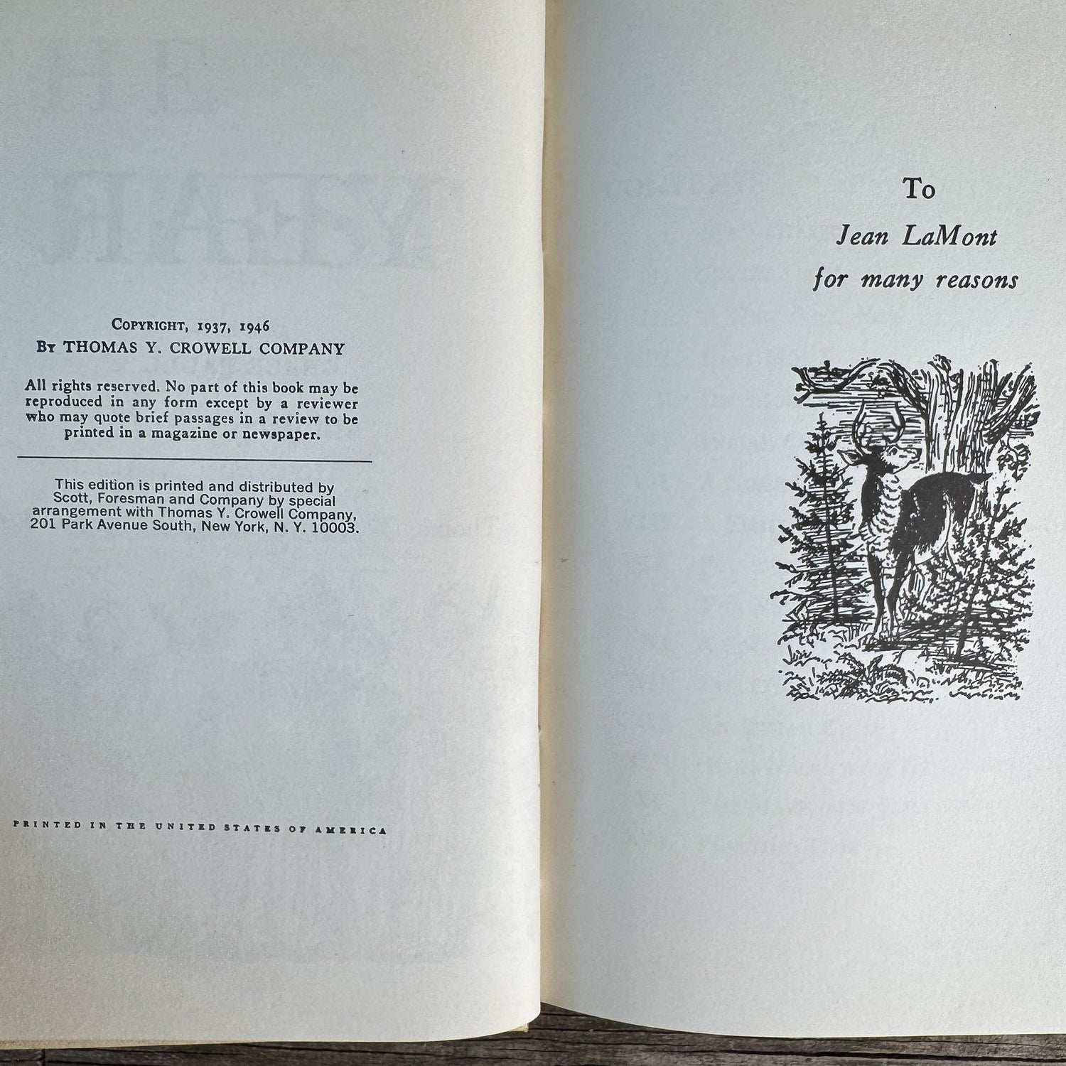 The First Year, Enid LaMonte Meadowcroft, 1946 - Pretty Old Books
