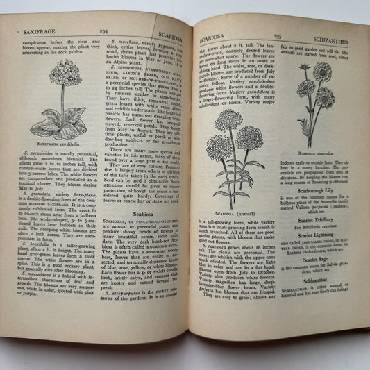 The Flower Encyclopedia and Gardener's Guide, 1948 Hardcover - Pretty Old Books
