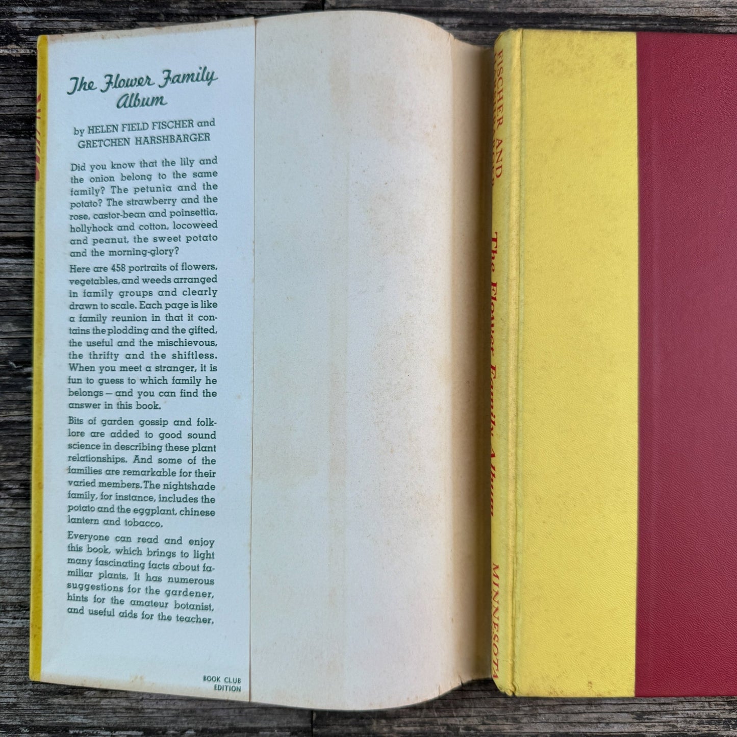 The Flower Family Album, Helen Field Fischer, 1941 - Pretty Old Books