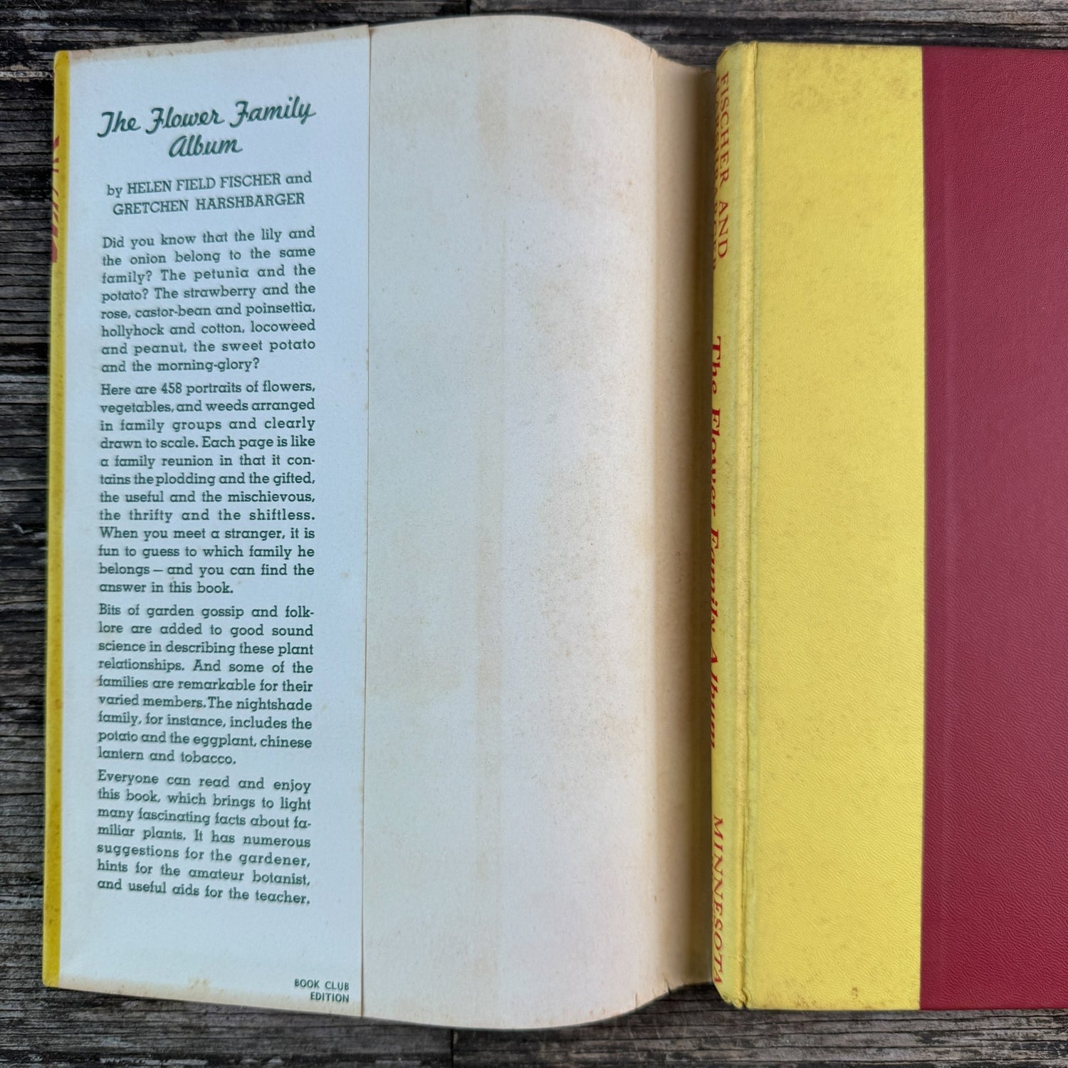 The Flower Family Album, Helen Field Fischer, 1941 - Pretty Old Books