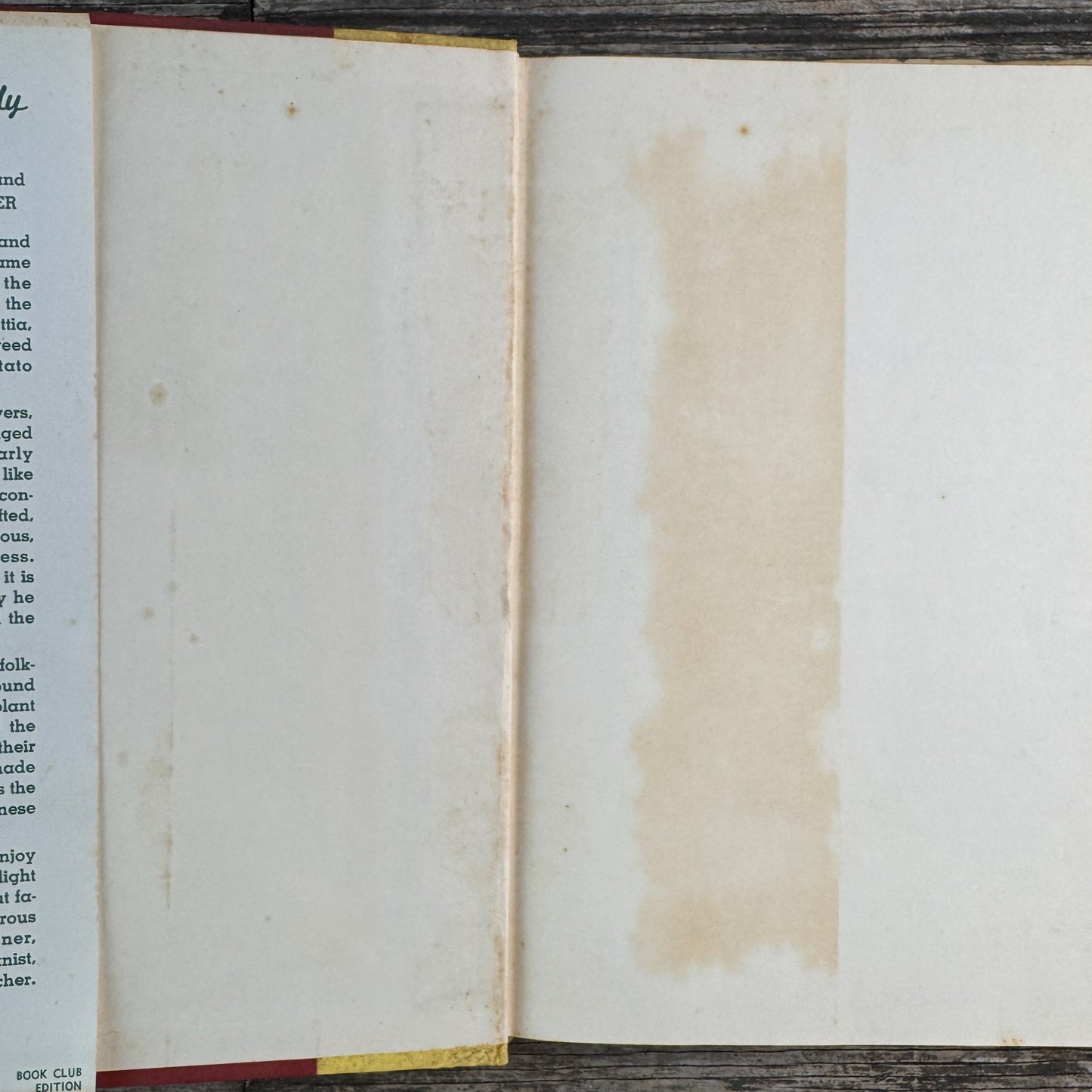 The Flower Family Album, Helen Field Fischer, 1941 - Pretty Old Books