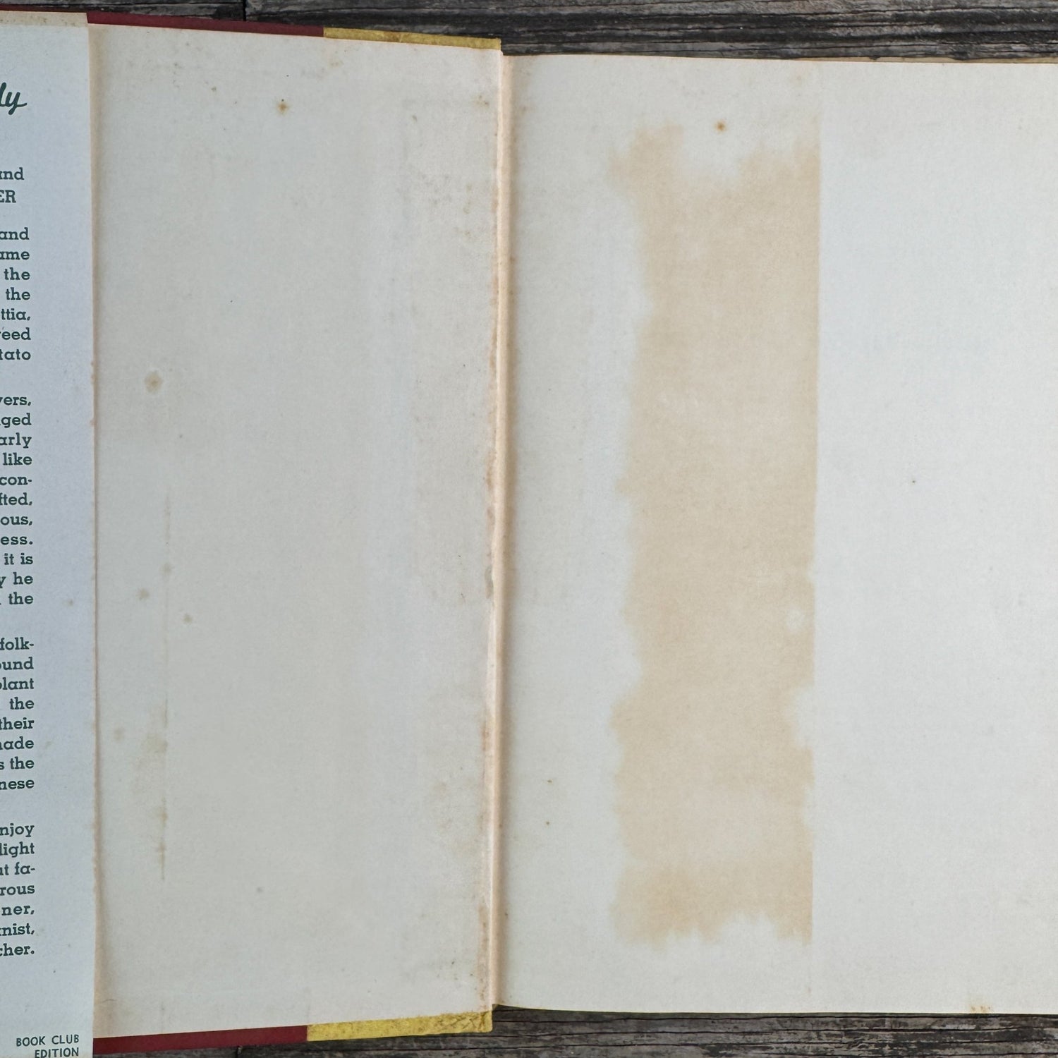 The Flower Family Album, Helen Field Fischer, 1941 - Pretty Old Books