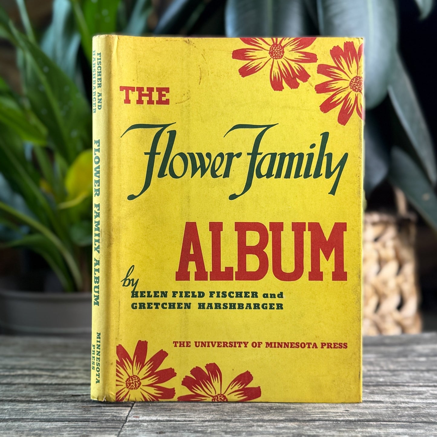The Flower Family Album, Helen Field Fischer, 1941 - Pretty Old Books