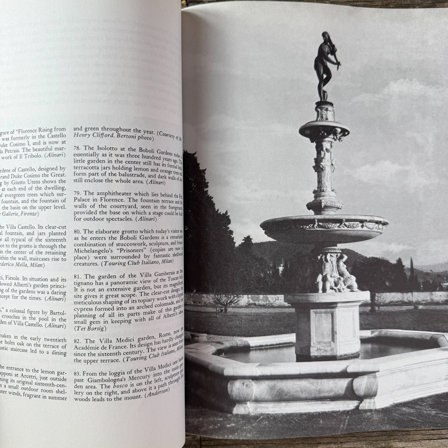 The Garden: An Illustrated History, Julia S. Berrall, 1966 - Pretty Old Books