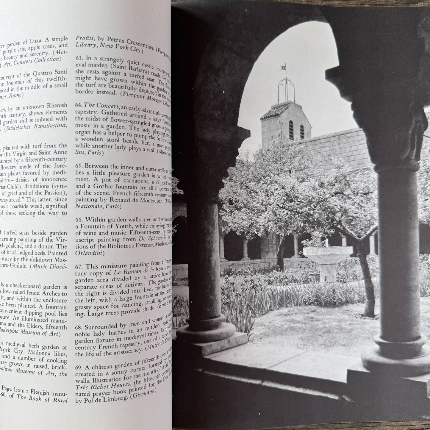 The Garden: An Illustrated History, Julia S. Berrall, 1966 - Pretty Old Books