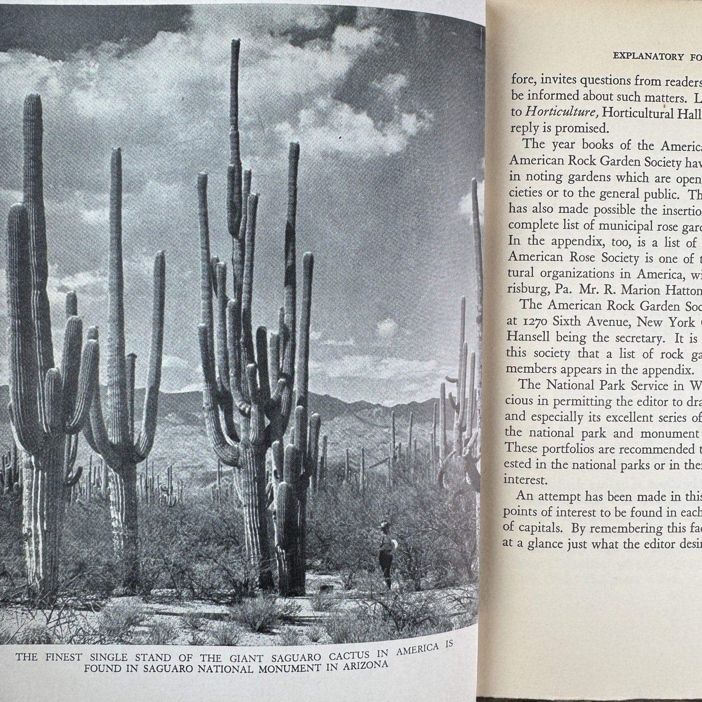 The Gardener’s Travel Book by Edward I. Farrington (1938) - Pretty Old Books