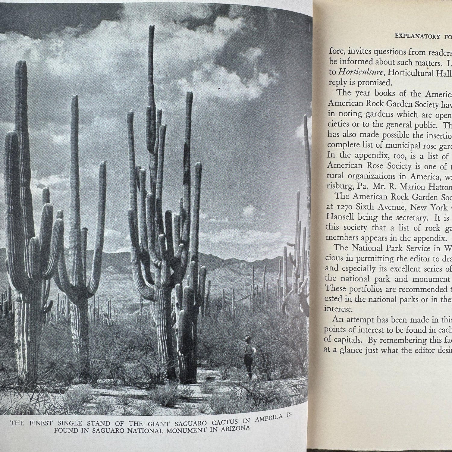 The Gardener’s Travel Book by Edward I. Farrington (1938) - Pretty Old Books