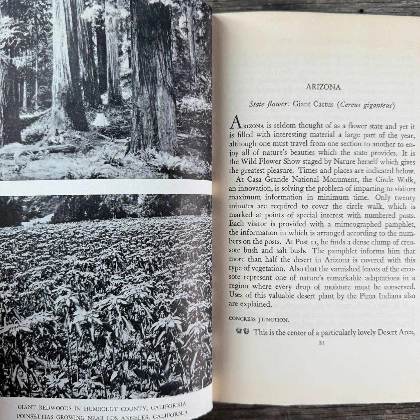 The Gardener’s Travel Book by Edward I. Farrington (1938) - Pretty Old Books