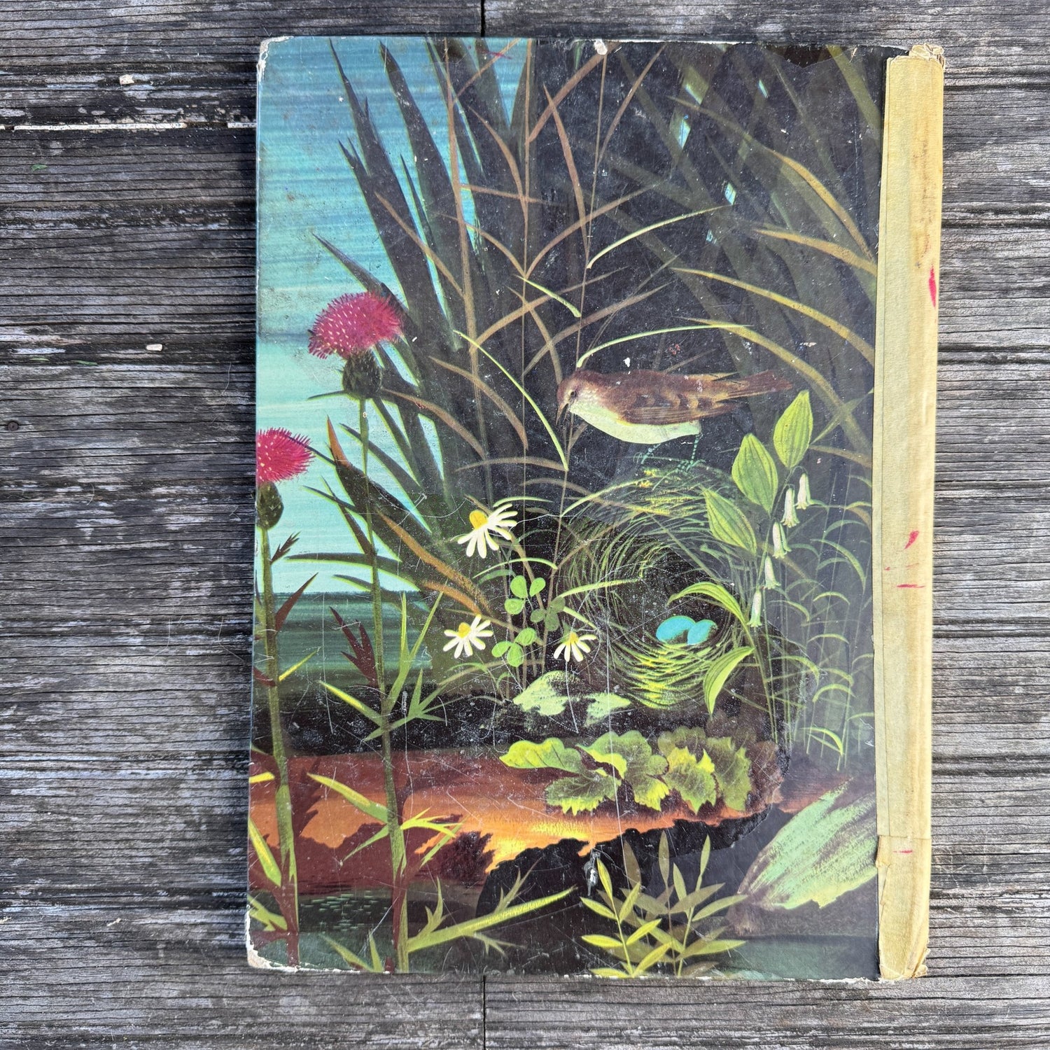 The Golden Bunny by Margaret Wise Brown, illustrated by Leonard Weisgard (1953) - Pretty Old Books